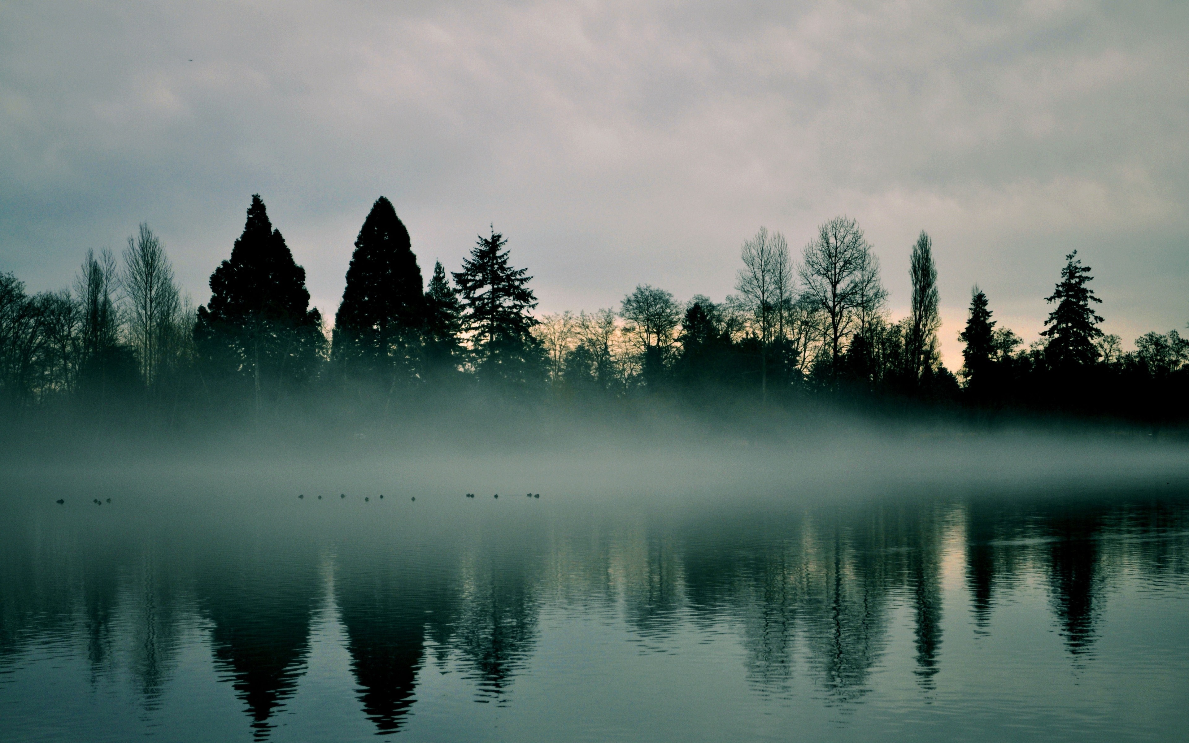 Misty lake with trees reflecting at sunrise HD Wallpaper