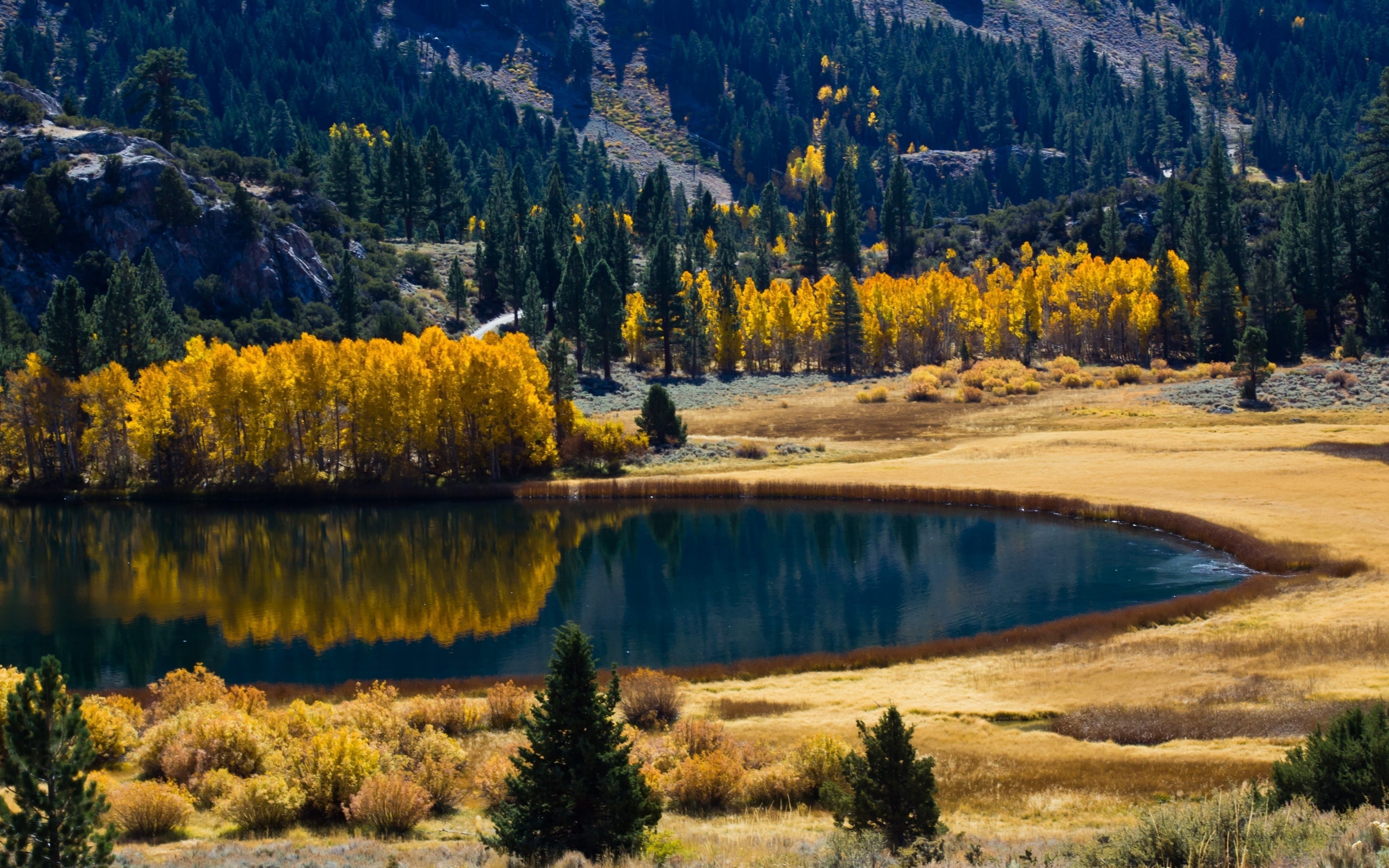 Autumn forest reflected in a mountain lake HD Wallpaper