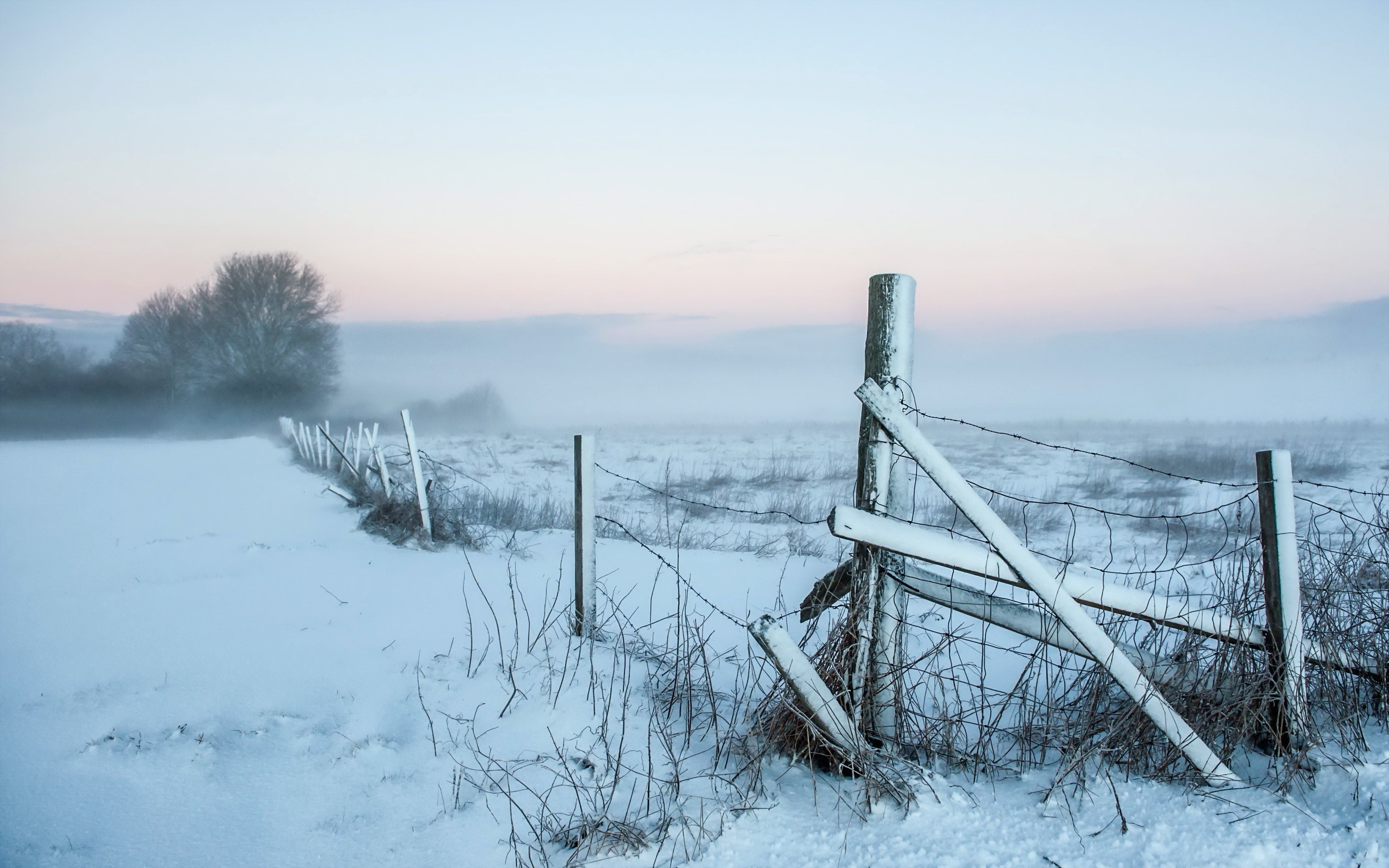 Snowy winter landscape with a broken fence and mist HD Wallpaper