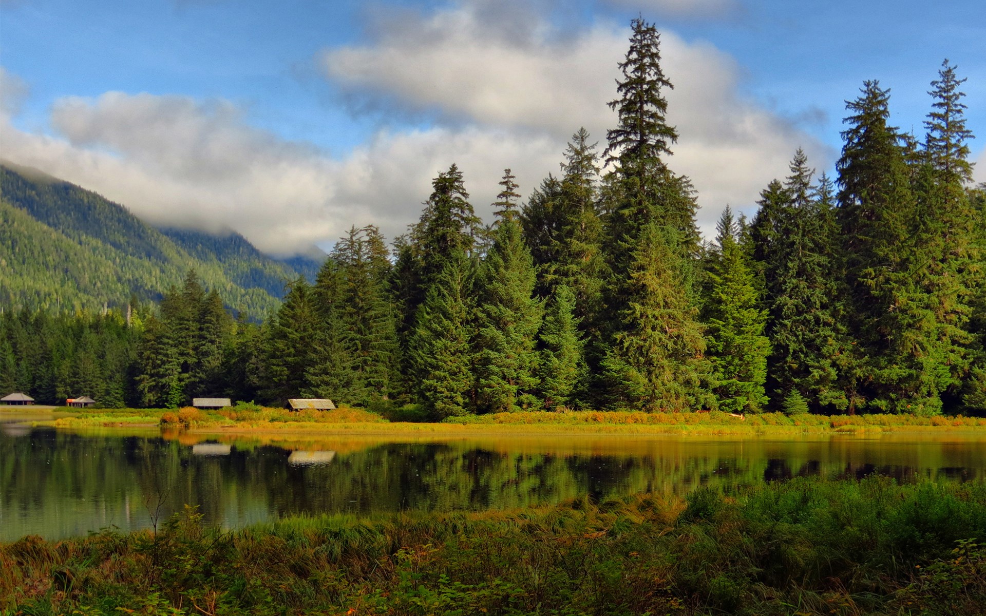 Lake with cabins and evergreen forest HD Wallpaper