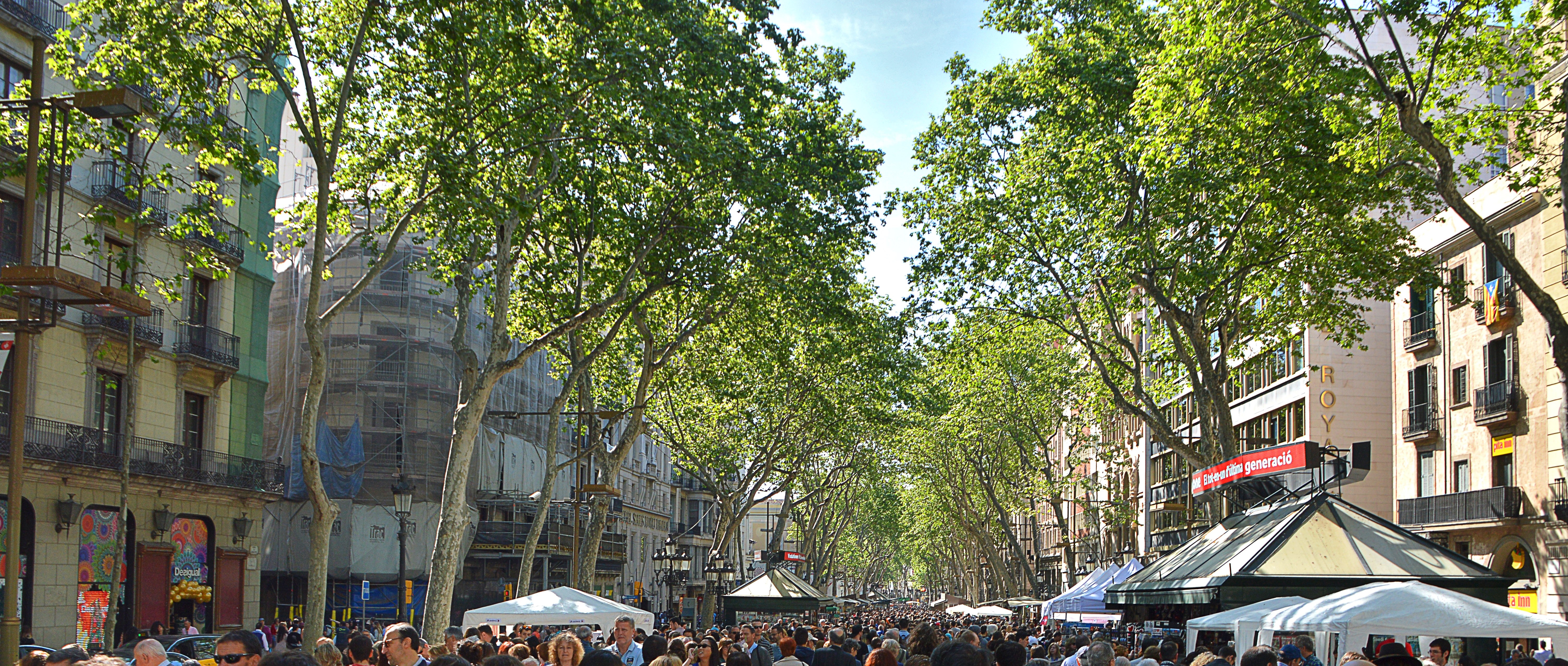 Crowded street lined with trees and buildings HD Wallpaper