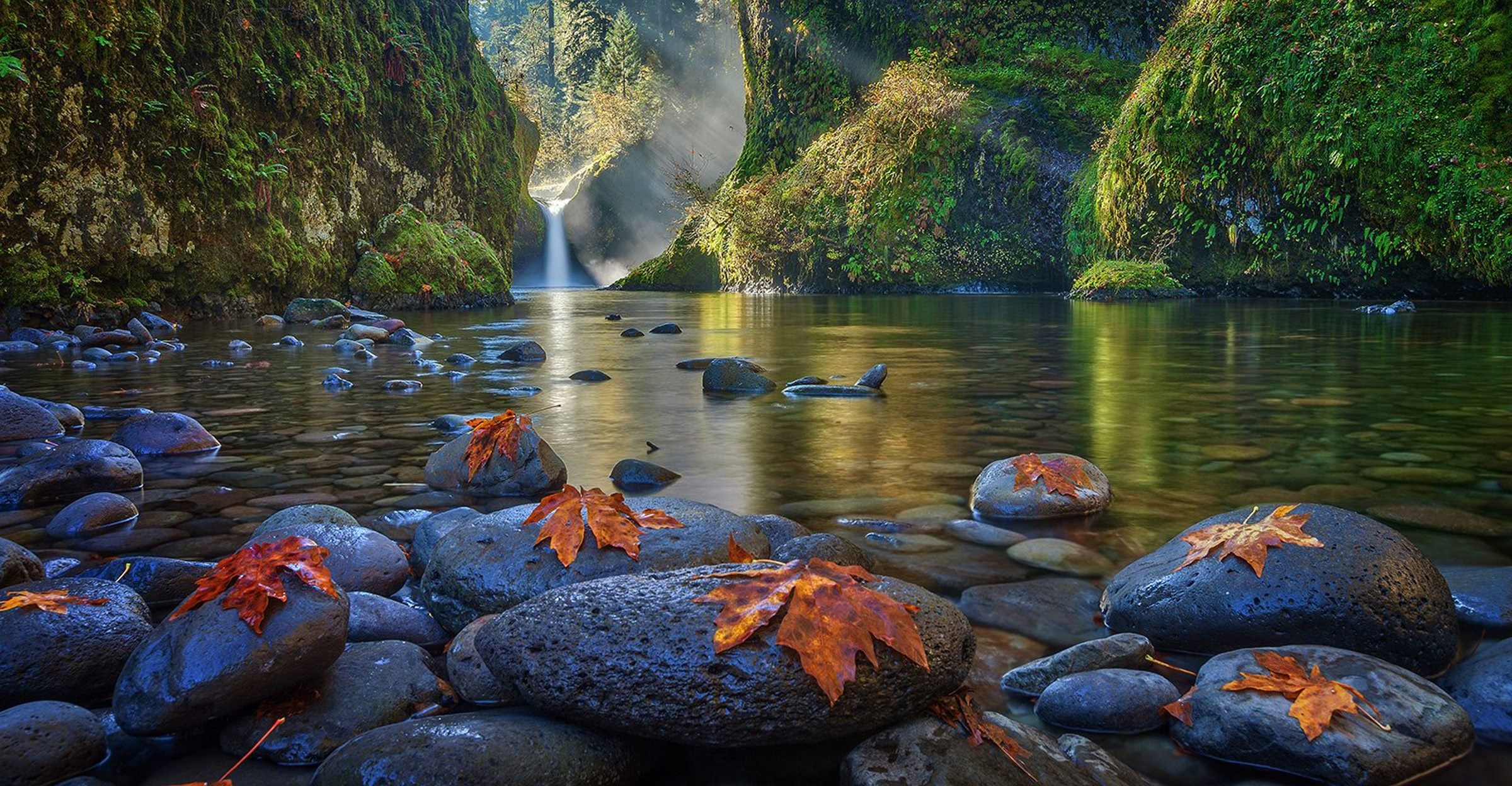 Waterfall flowing into a river with autumn leaves on rocks HD Wallpaper
