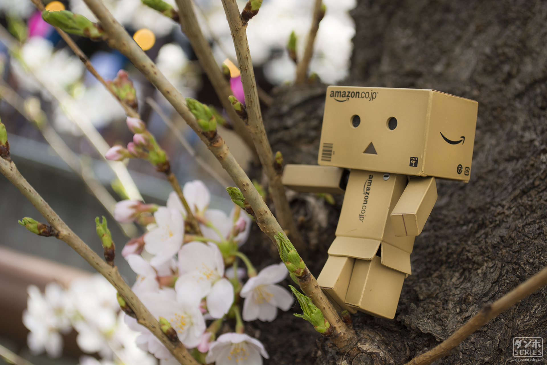 Danbo figure on a tree branch with cherry blossoms HD Wallpaper