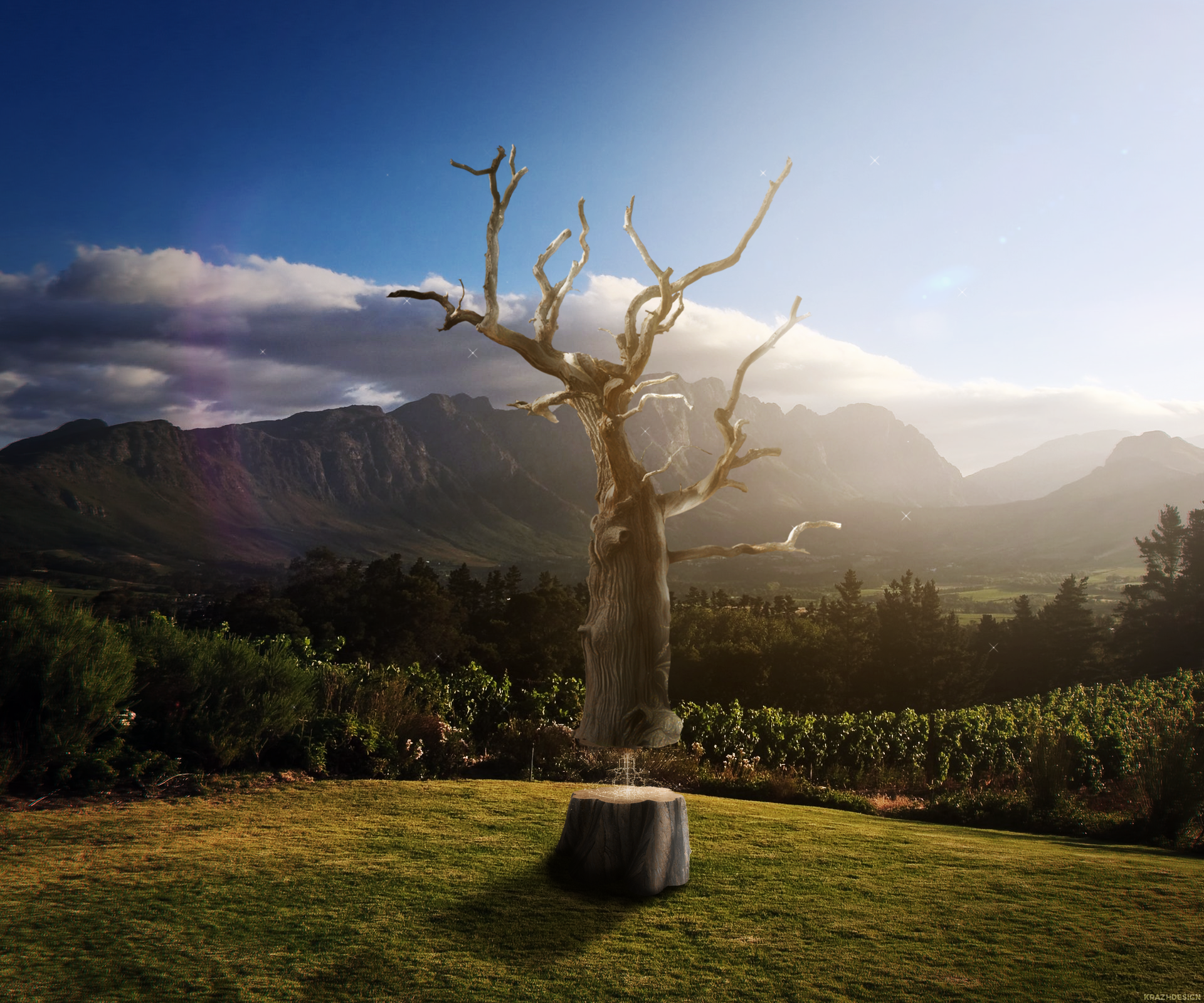 Dead tree on a hill with mountains and vineyards HD Wallpaper