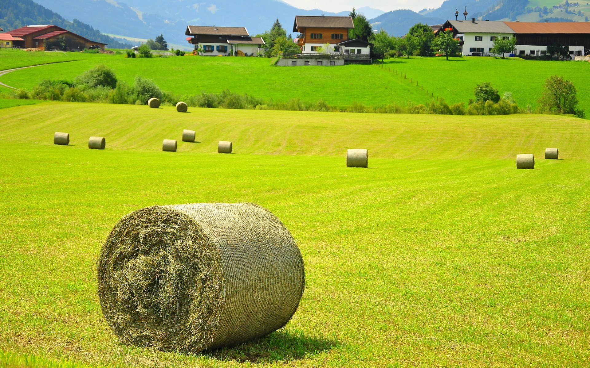 Hay bales in a green field with houses and mountains HD Wallpaper