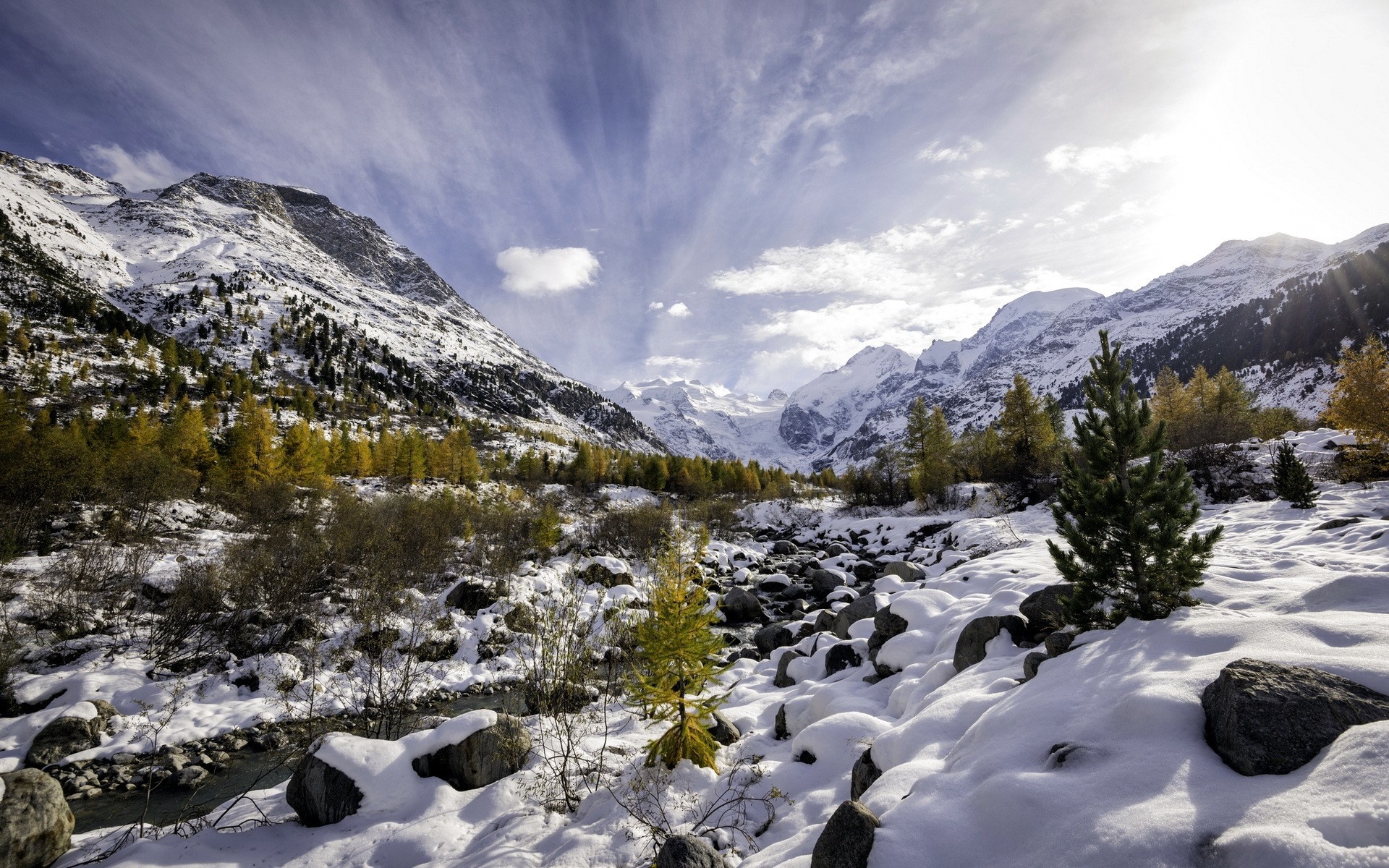 Snowy mountain valley with trees and rocks HD Wallpaper