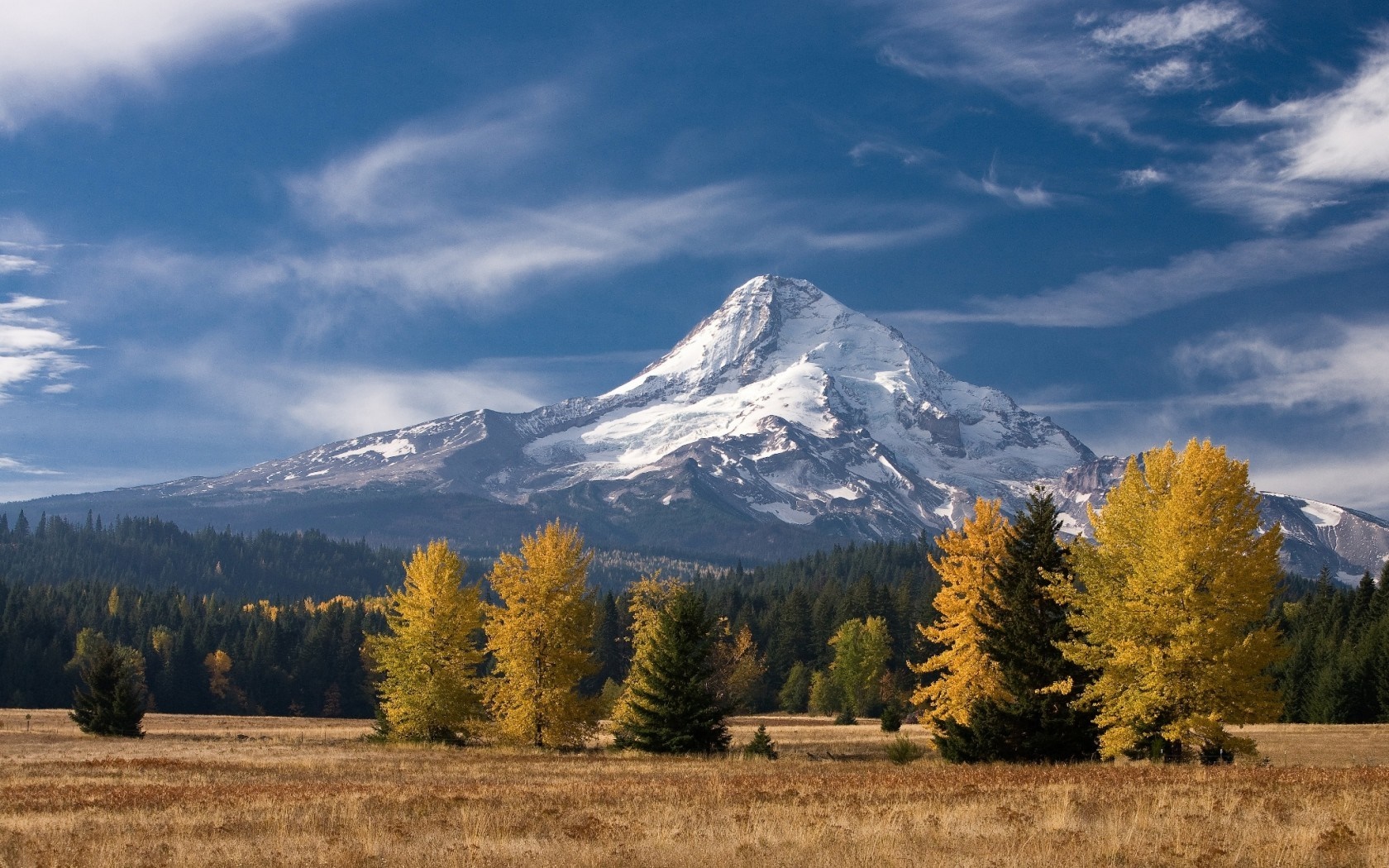 Snow-capped mountain range with autumn trees in foreground HD Wallpaper
