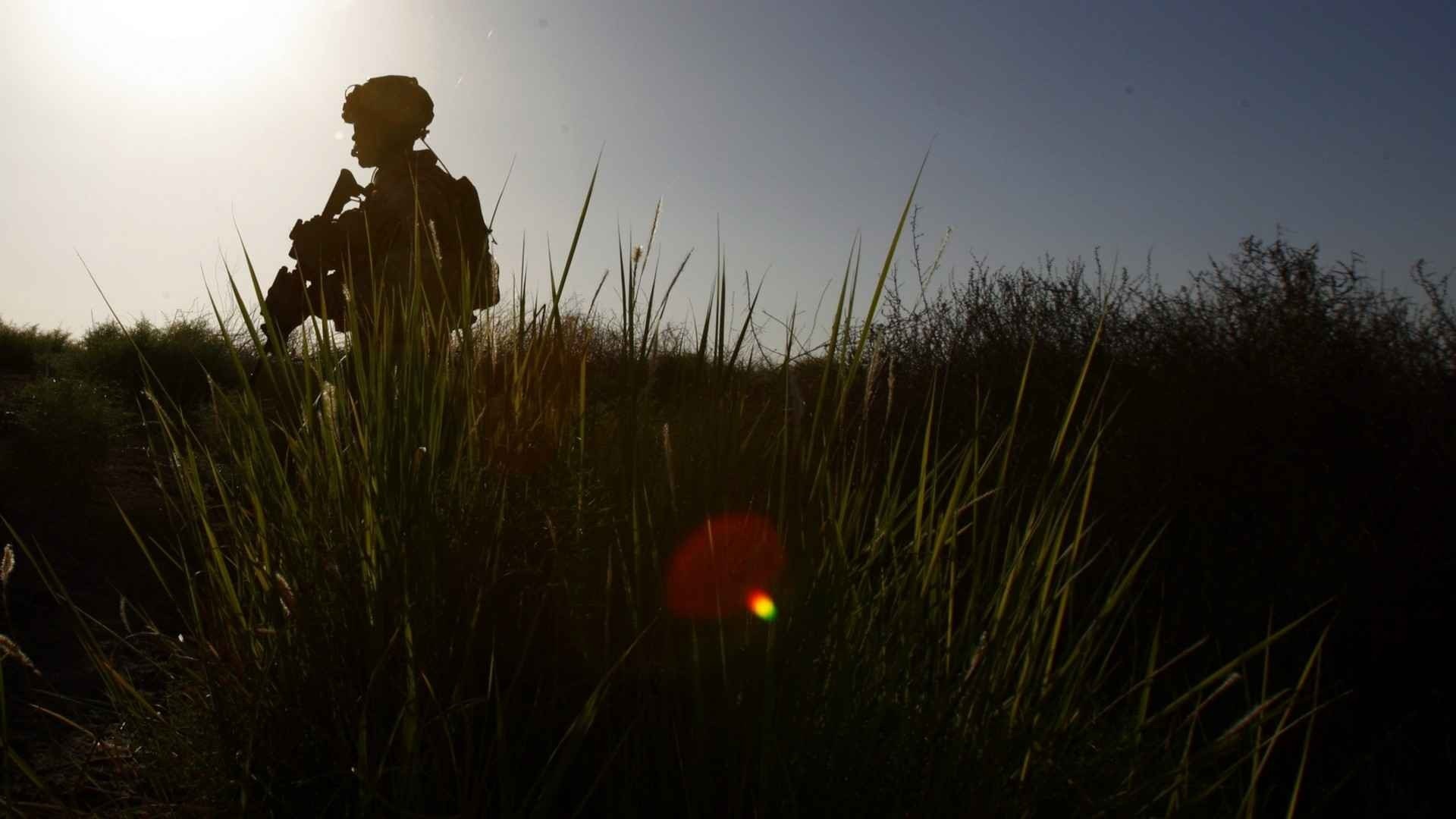 Soldier in silhouette with weapon in tall grass HD Wallpaper