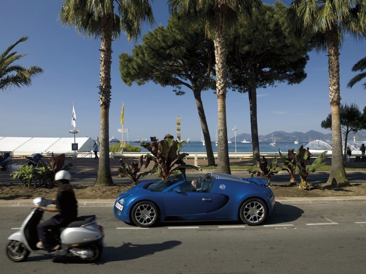 Blue Bugatti Veyron convertible driving on a sunny day with palm trees HD Wallpaper