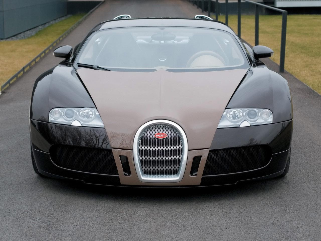 Bugatti Veyron front view HD Wallpaper