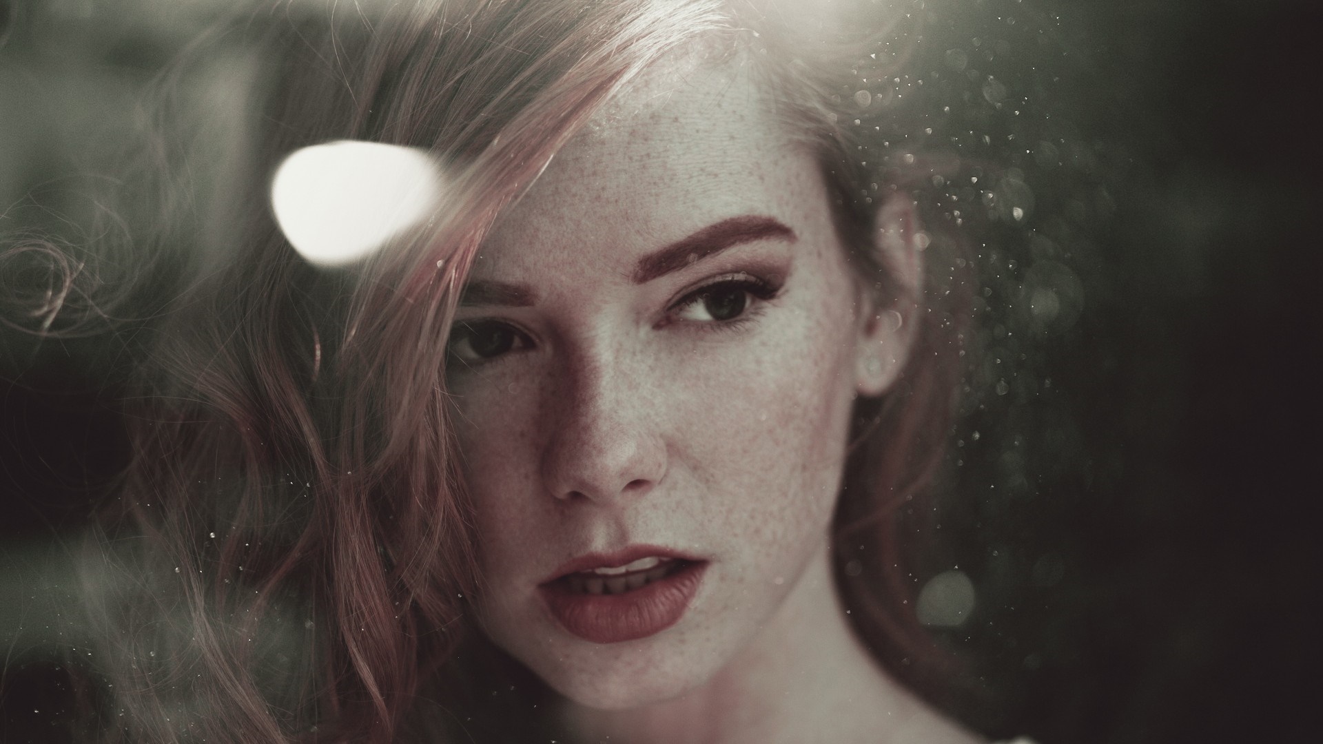 Close-up portrait of a woman with freckles HD Wallpaper