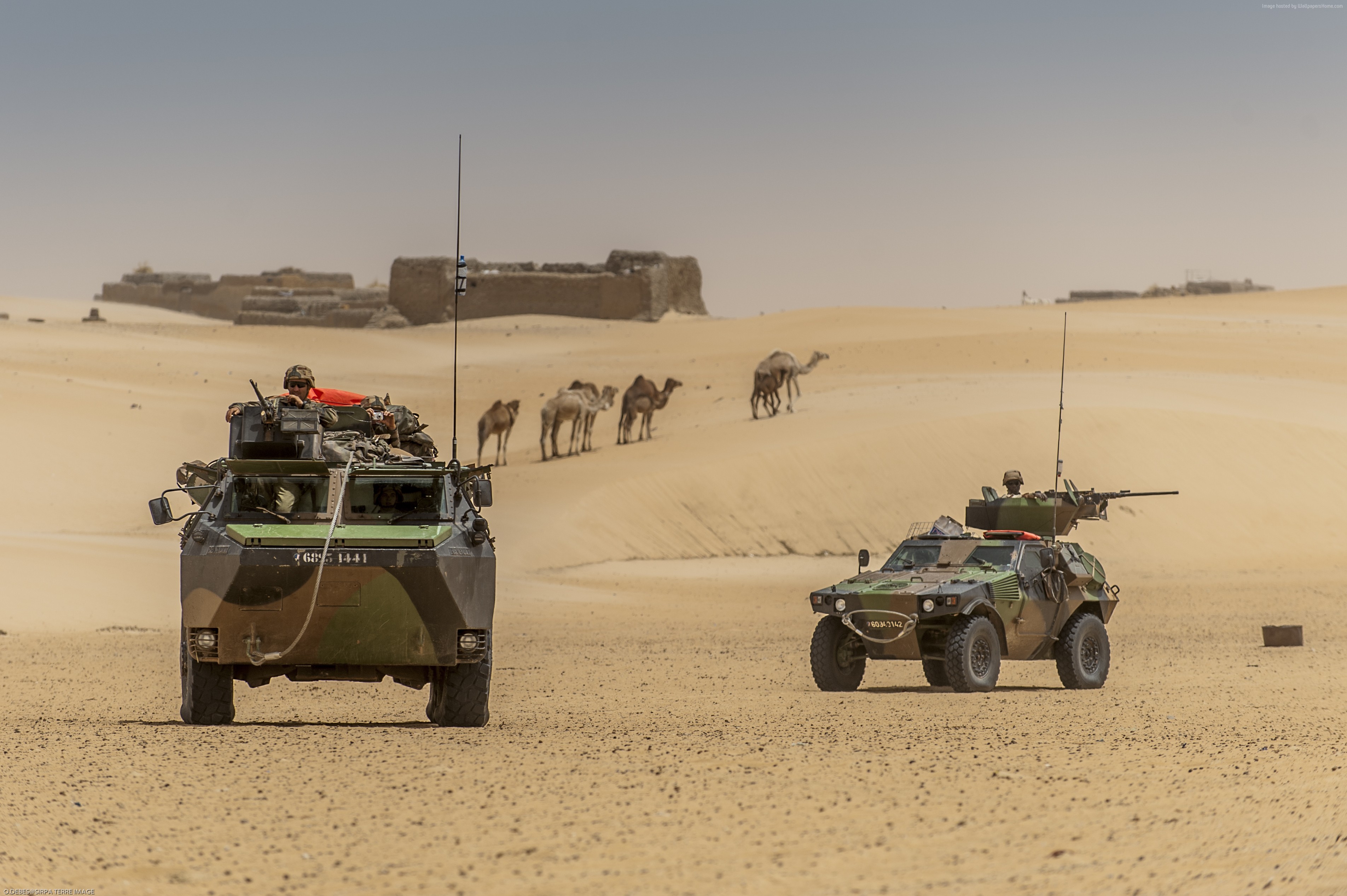 French Armed Forces in Mali with Camels and Ruins HD Wallpaper