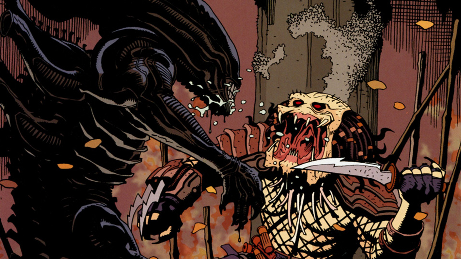 Alien vs. Predator comic book illustration HD Wallpaper