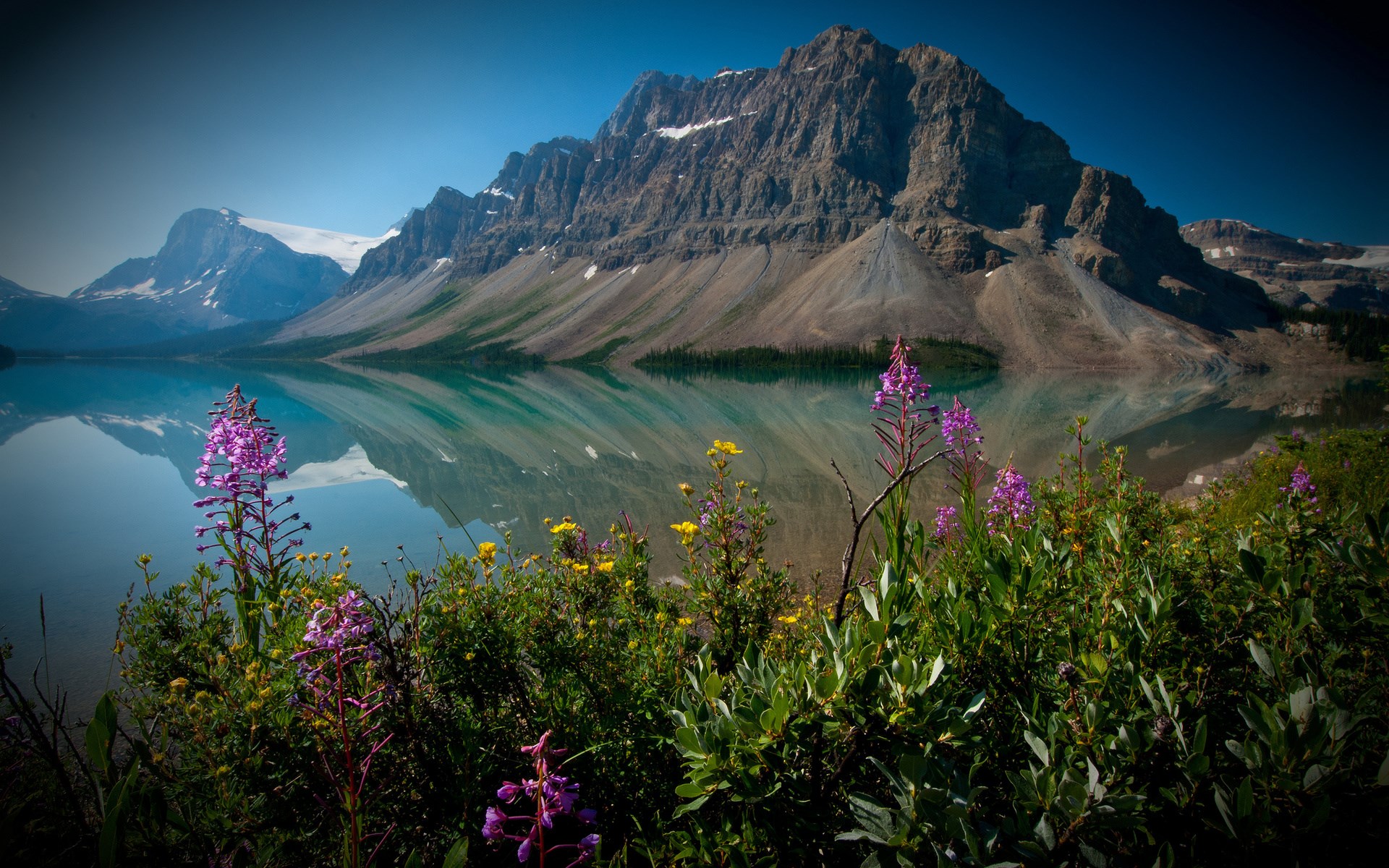 Mountain Lake with Wildflowers HD Wallpaper