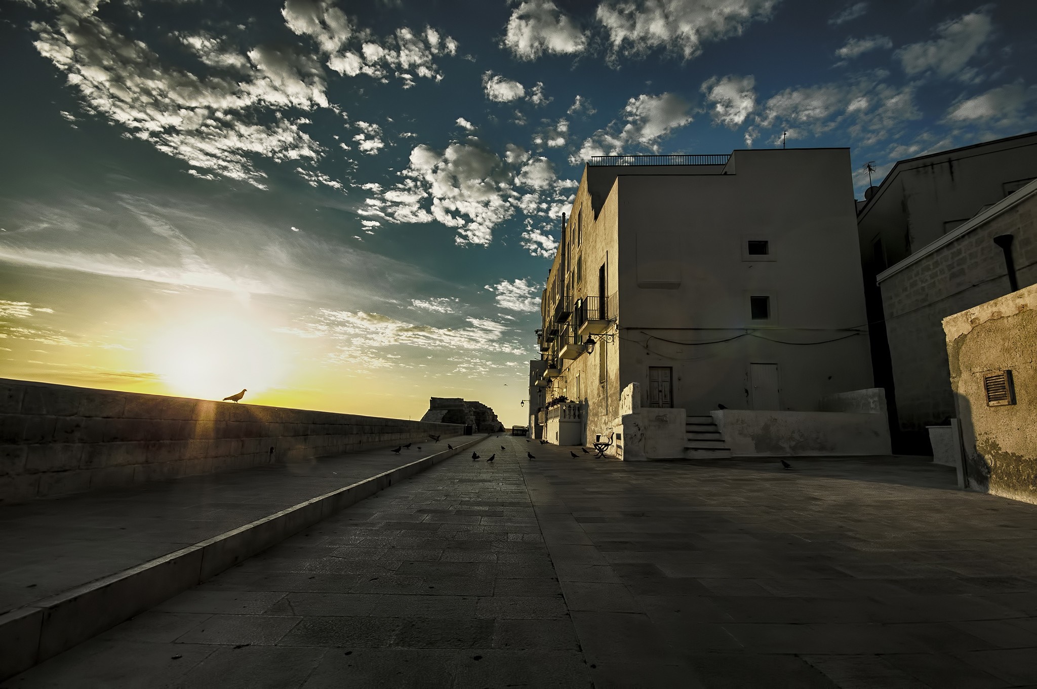 Street with buildings and birds at sunset HD Wallpaper