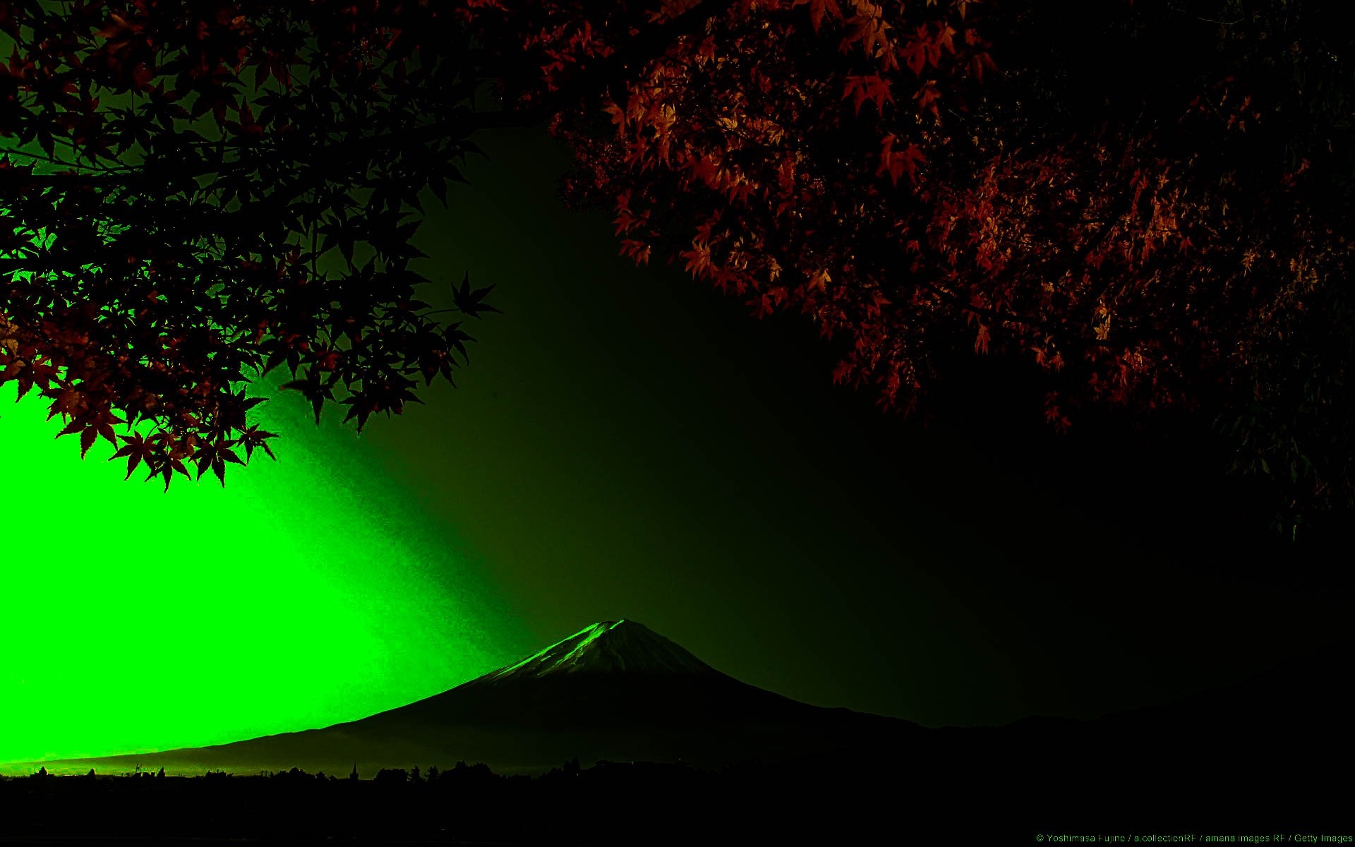 Mount Fuji at night with green light and autumn leaves HD Wallpaper