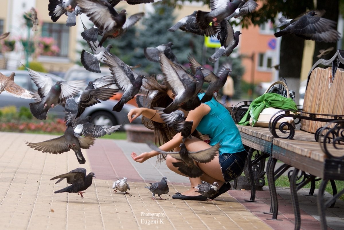Woman feeding pigeons in Gomel HD Wallpaper