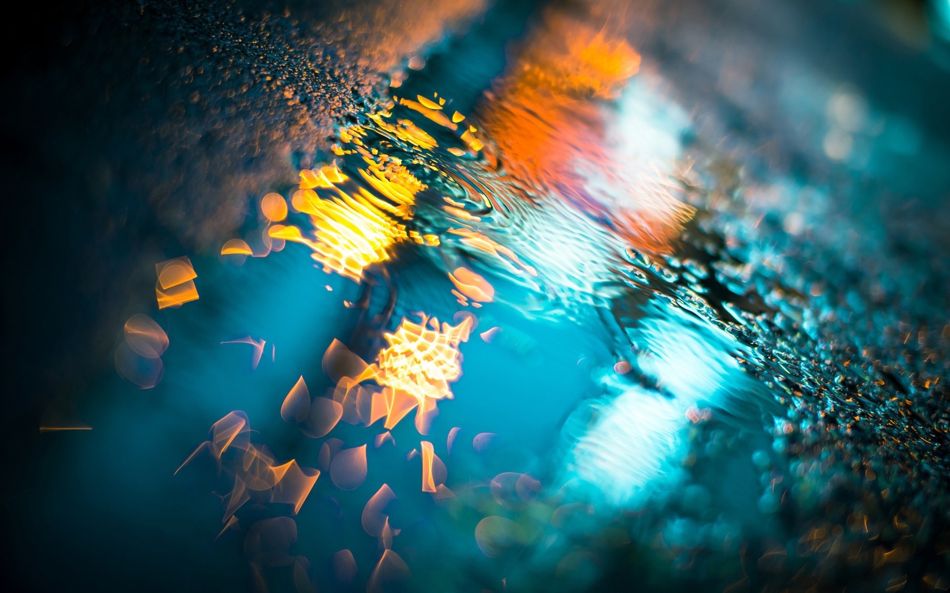 Abstract reflection of colorful lights on wet surface HD Wallpaper