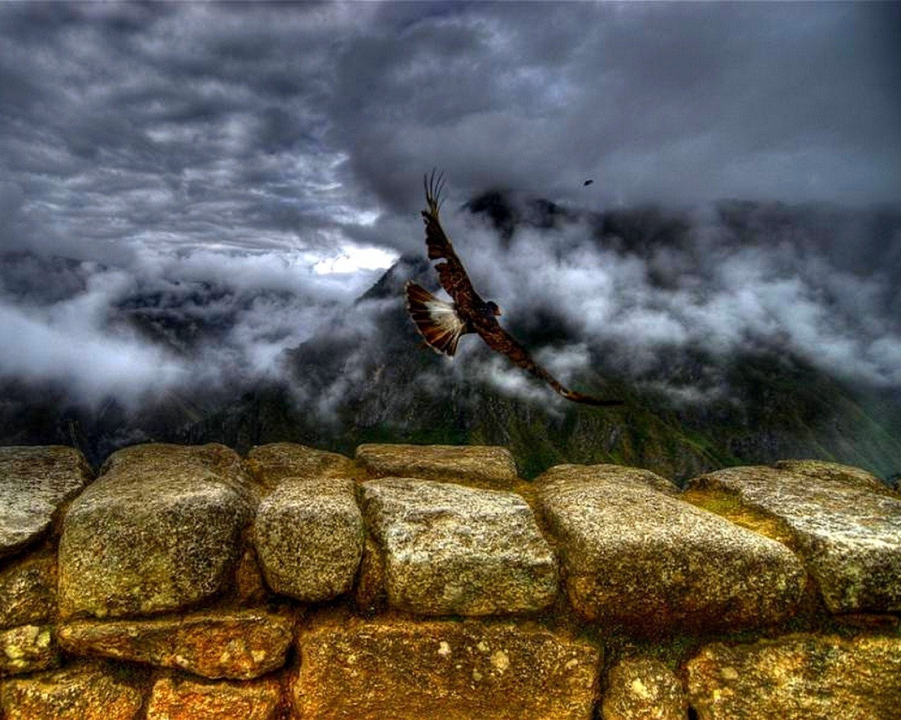 Eagle flying over mountains with stone wall HD Wallpaper