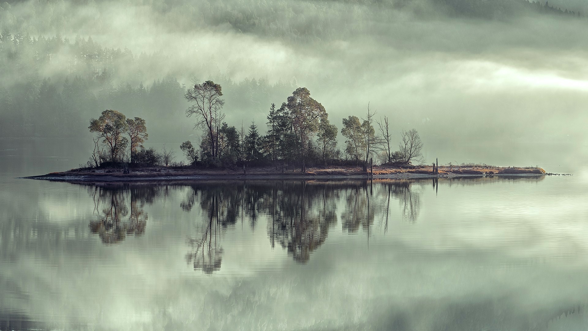 Misty island with trees reflected in calm water HD Wallpaper