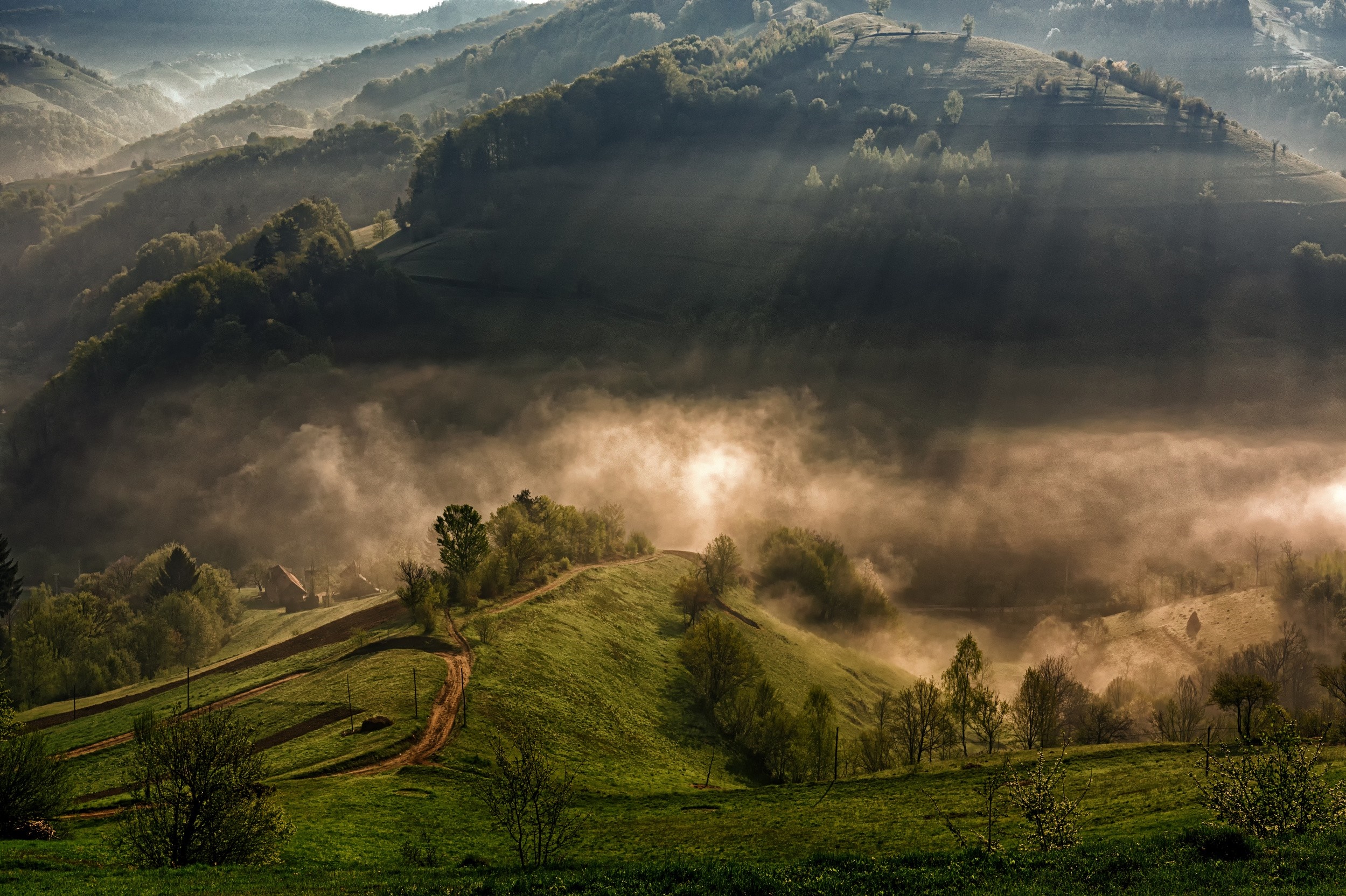 Misty mountain valley with sun rays at dawn HD Wallpaper
