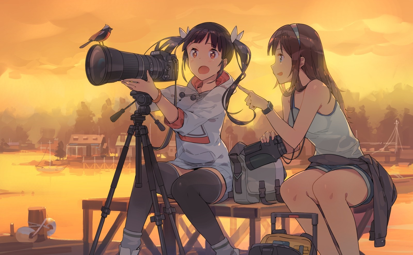 Anime girls with cameras photographing a bird at sunset HD Wallpaper