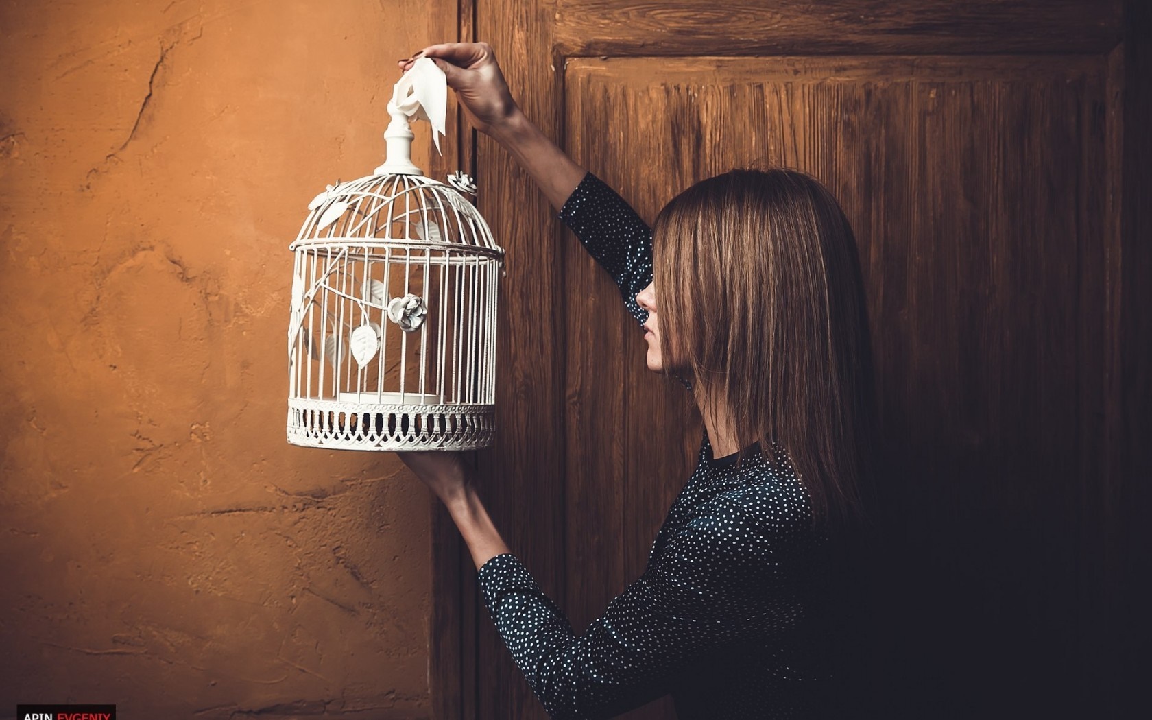 Woman holding a decorative bird cage in front of a wooden door HD Wallpaper