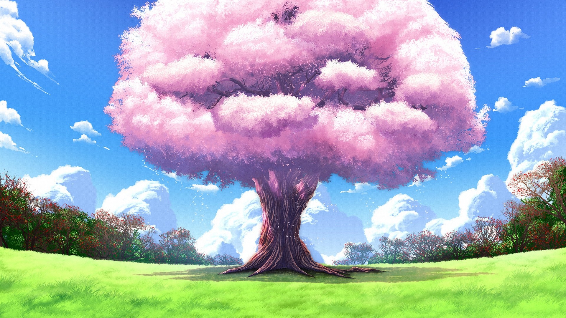 A large cherry blossom tree in a grassy field HD Wallpaper
