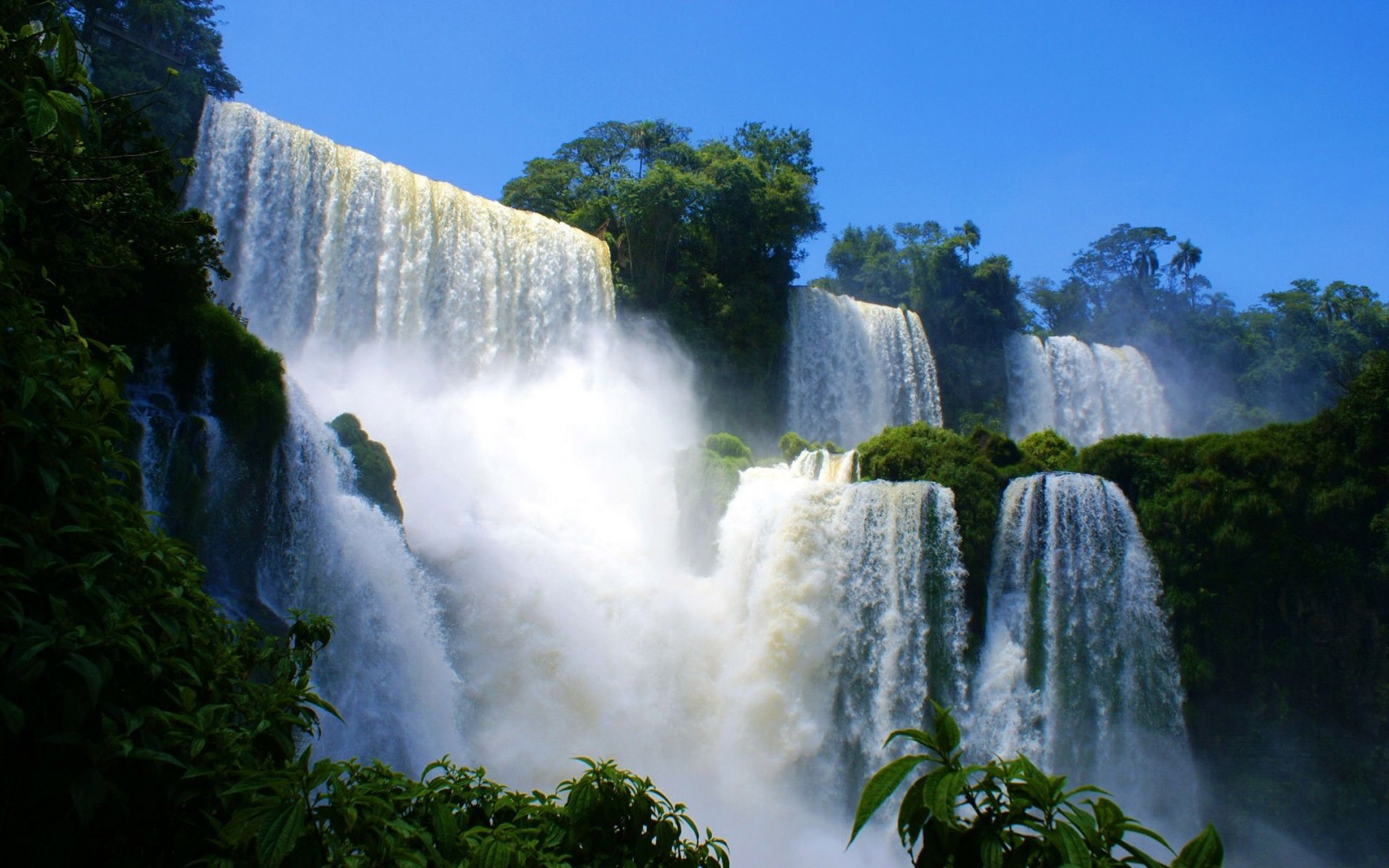 Iguazu Falls in a tropical jungle HD Wallpaper