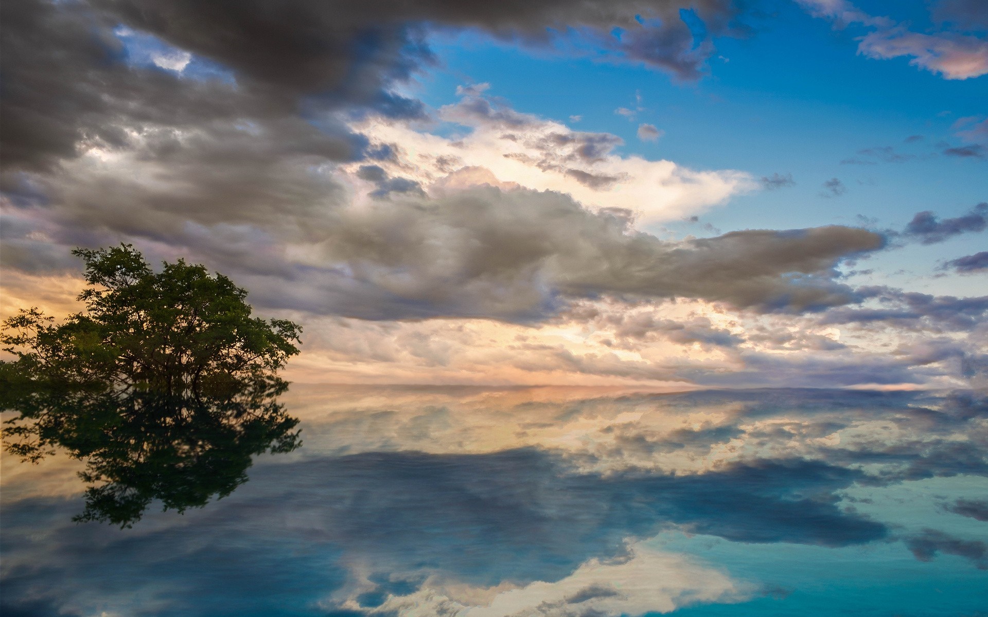 Tree reflected in water at sunset HD Wallpaper