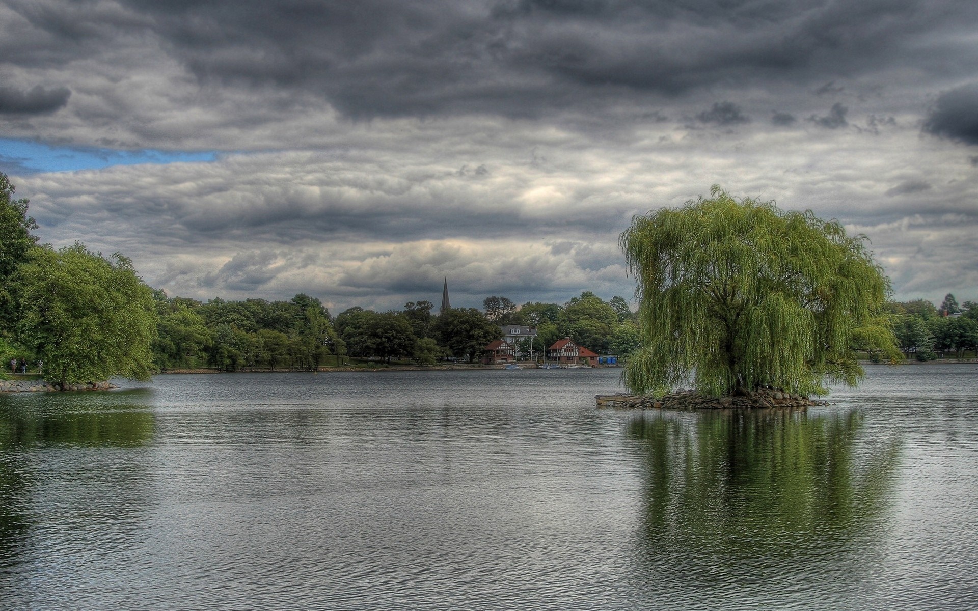 Weeping willow tree on a small island in a lake HD Wallpaper