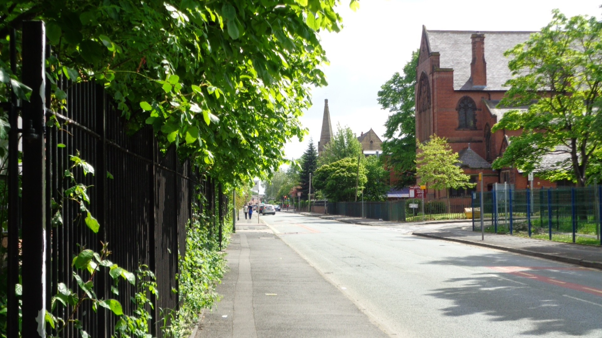 Street with trees and church in a residential area HD Wallpaper