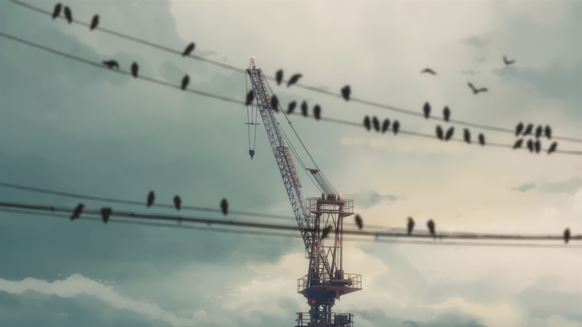 Birds on wires with a crane against cloudy sky HD Wallpaper