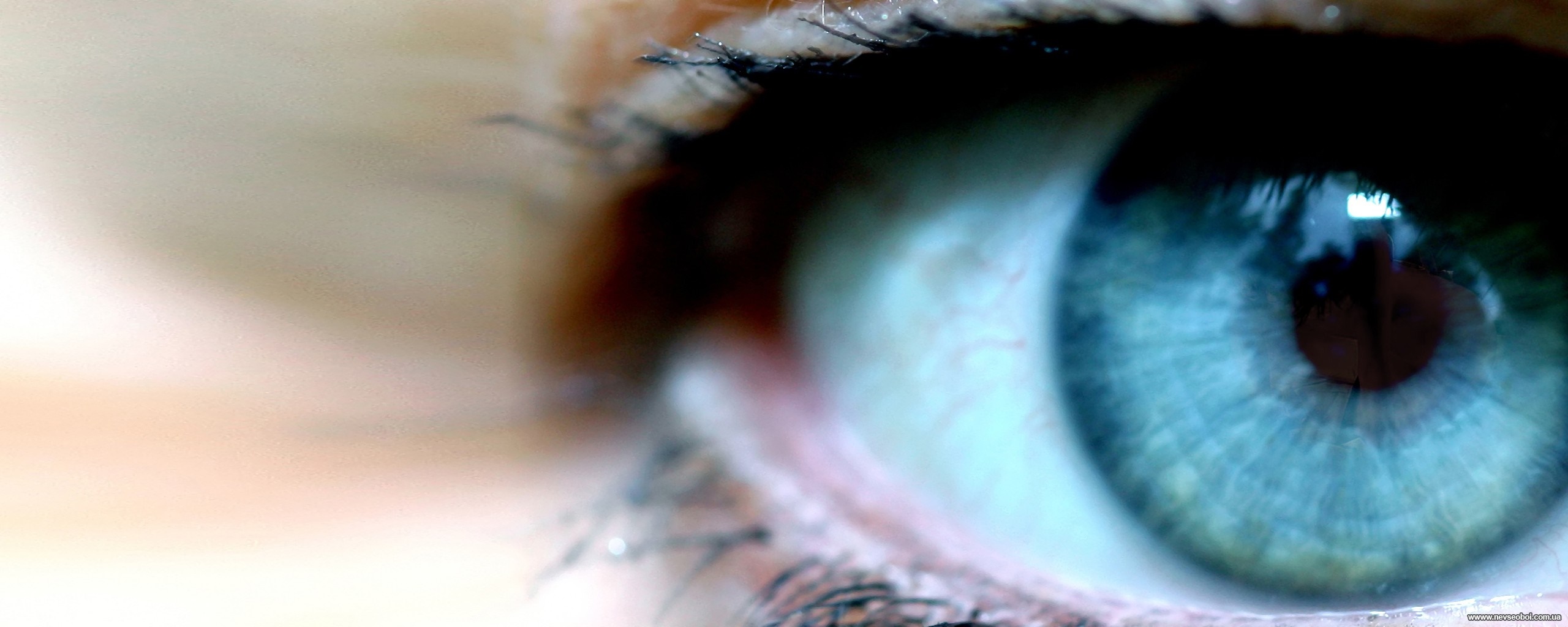 Close-up of a blue eye with eyelashes HD Wallpaper