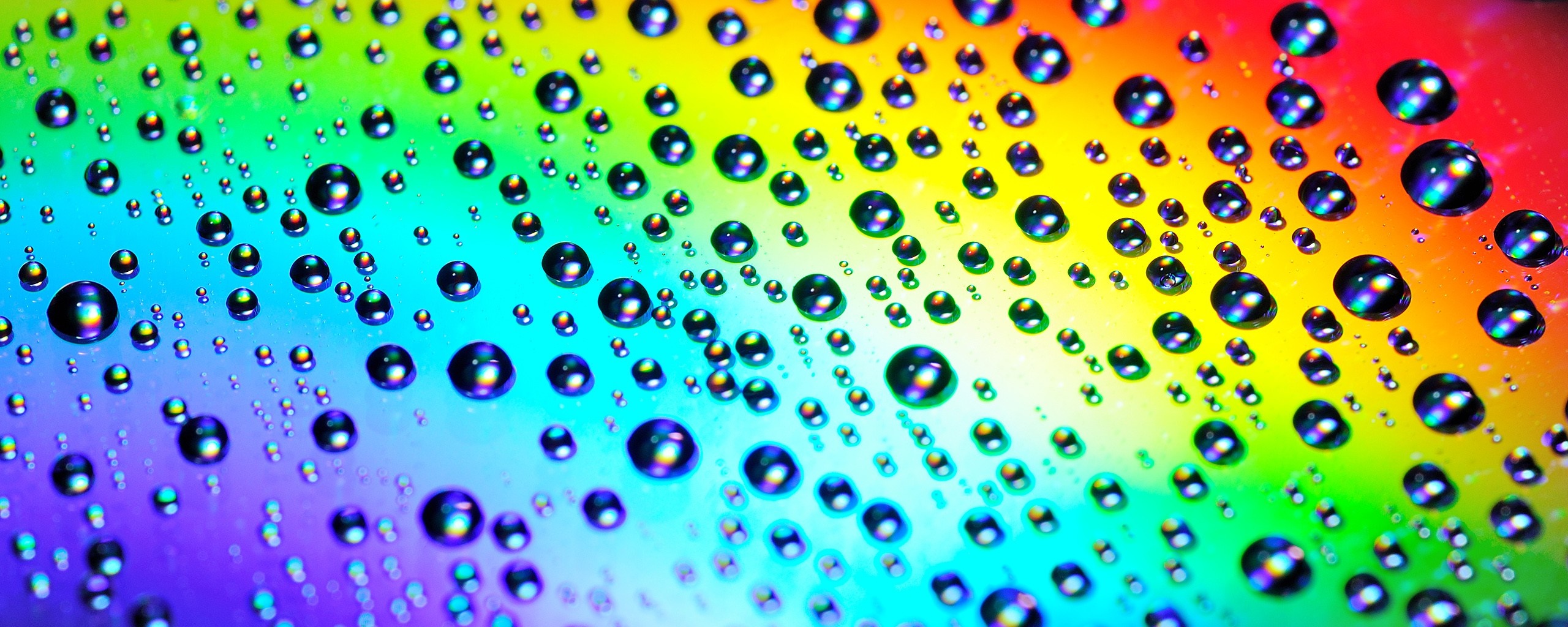 Close up of water drops on a rainbow background HD Wallpaper