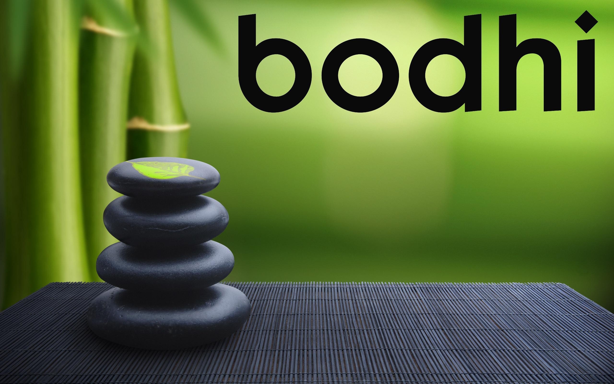 Bodhi Linux logo with stacked stones and bamboo HD Wallpaper