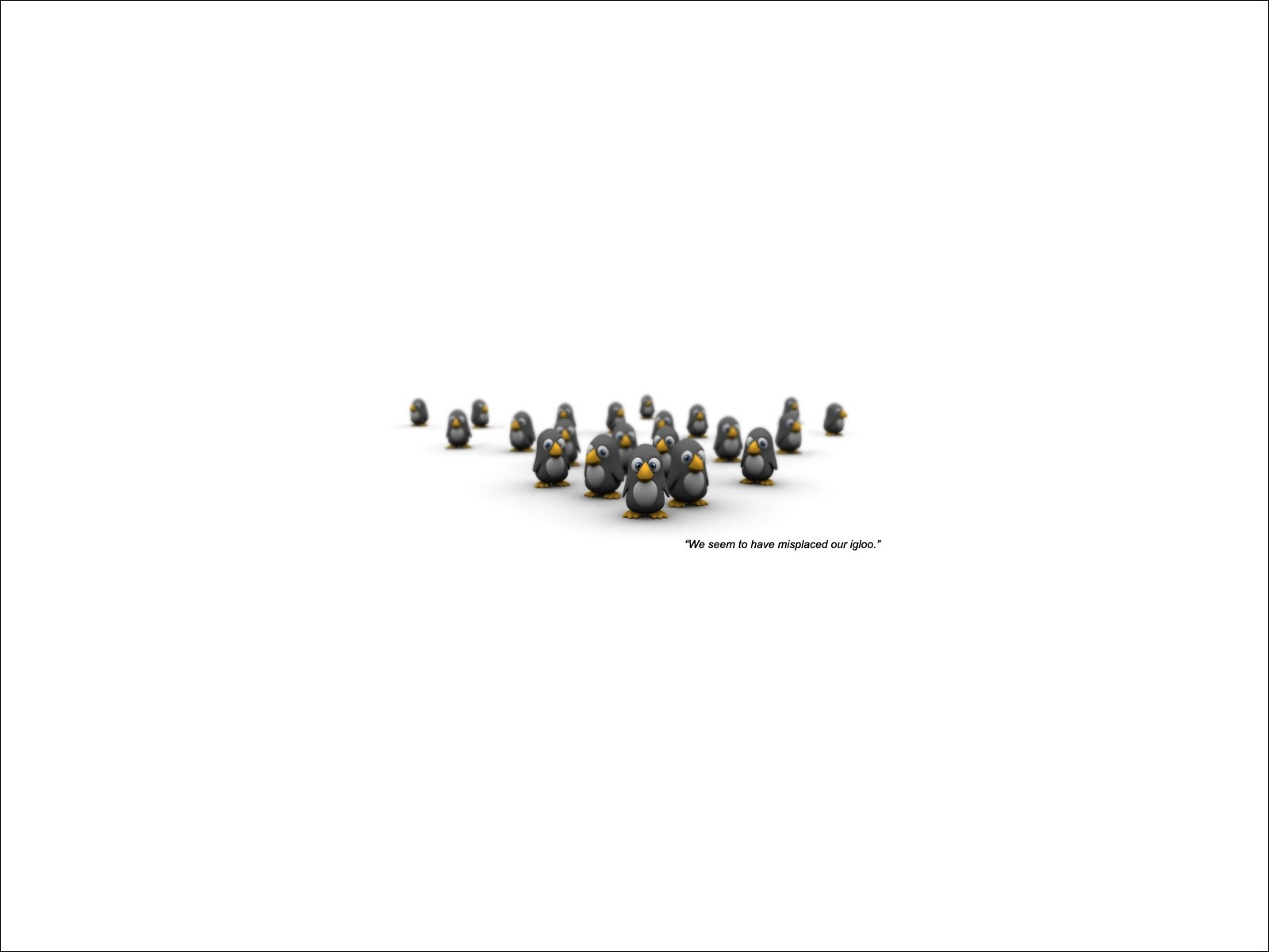 A group of penguins with a quote HD Wallpaper