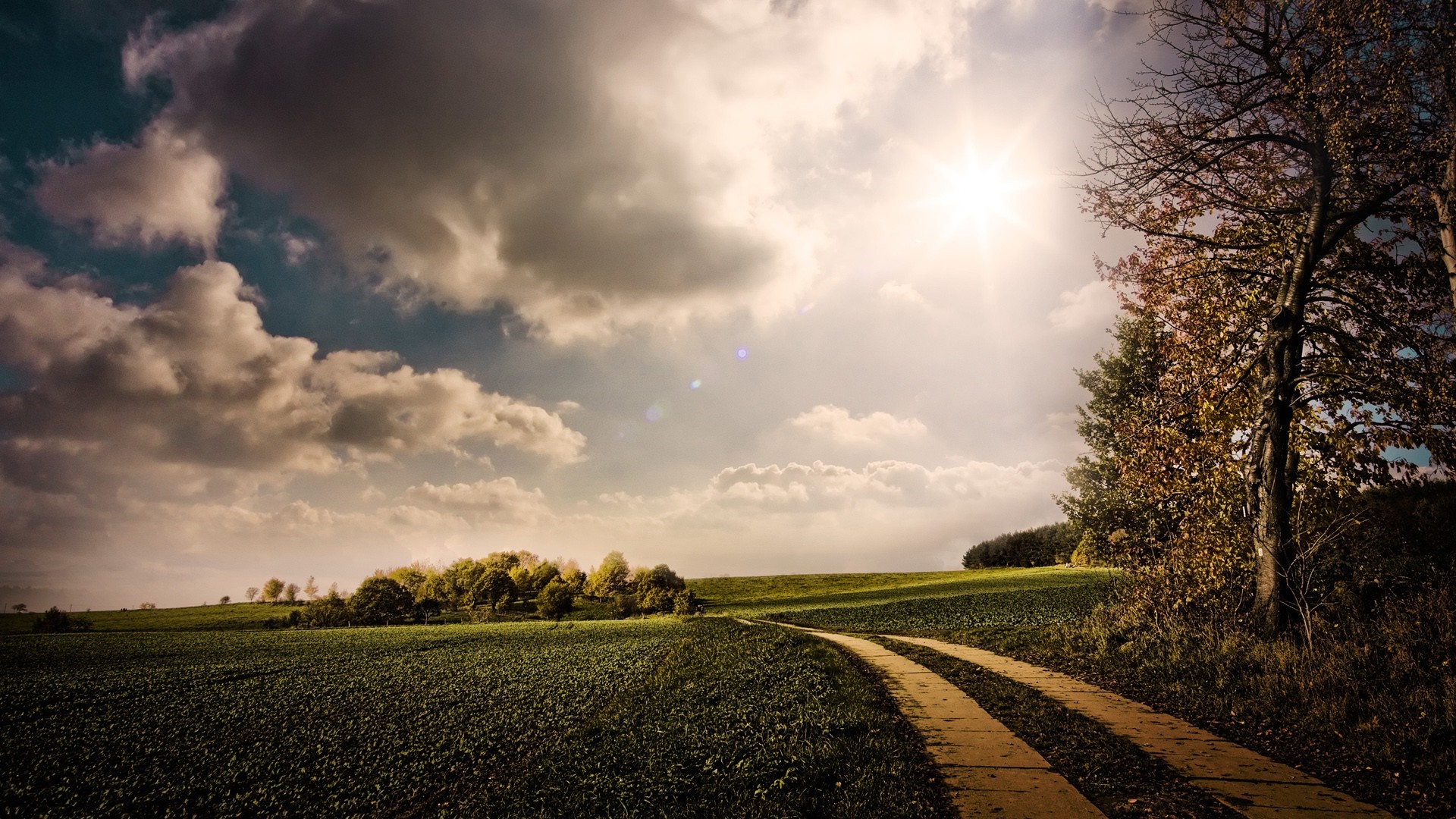 Dirt road through a field under a cloudy sky with sun HD Wallpaper
