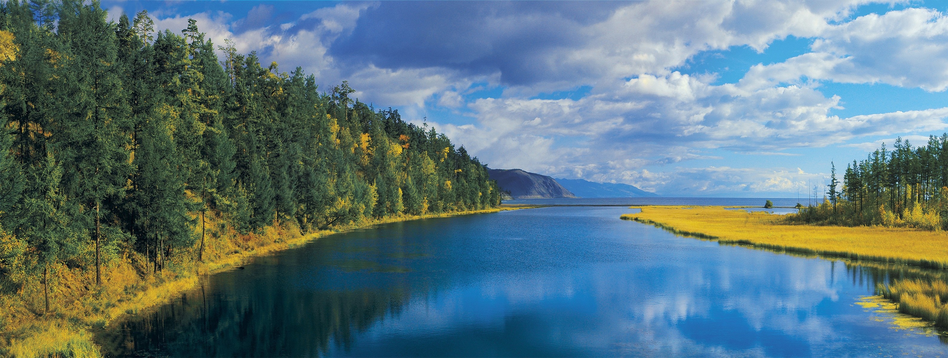 Panoramic view of a lake with trees and a meadow HD Wallpaper