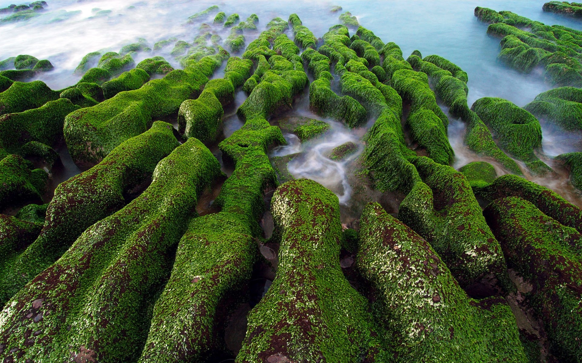 Green moss-covered rocks on a coast with long exposure water HD Wallpaper