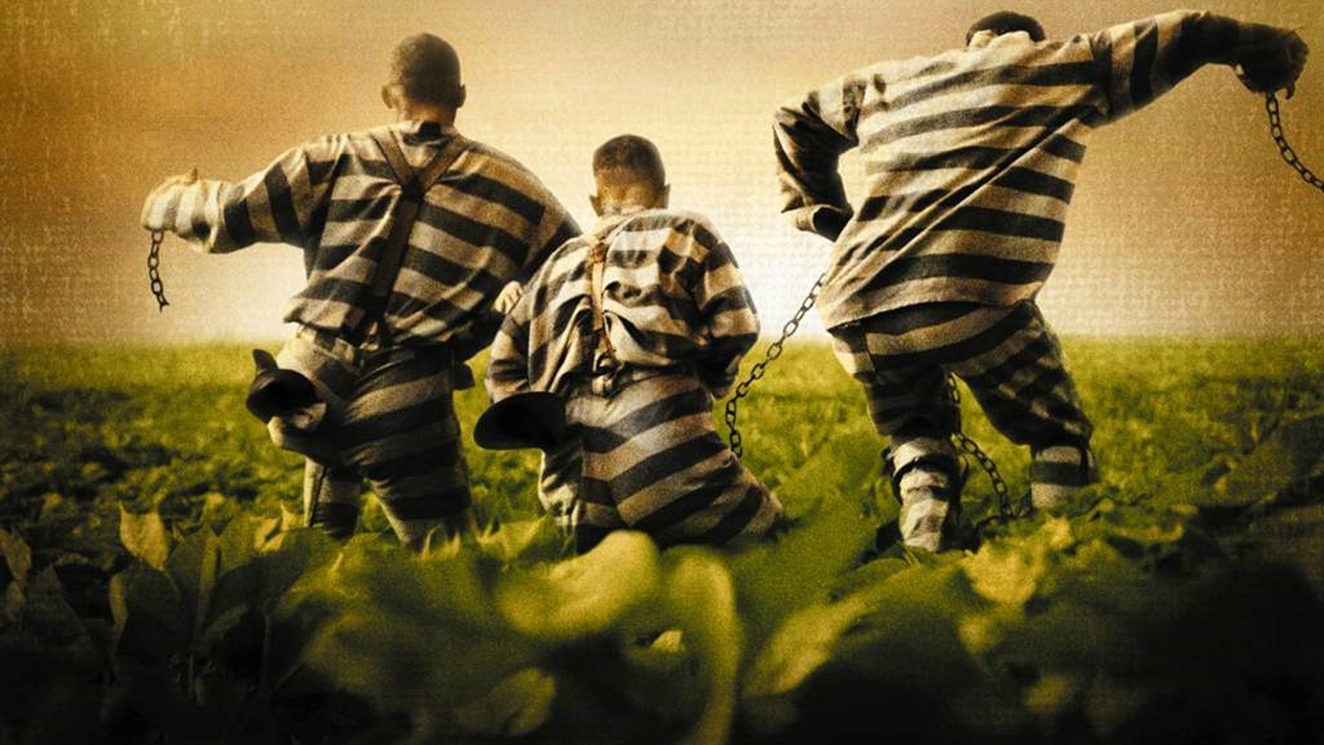 Prisoners in striped uniforms chained together in a field HD Wallpaper