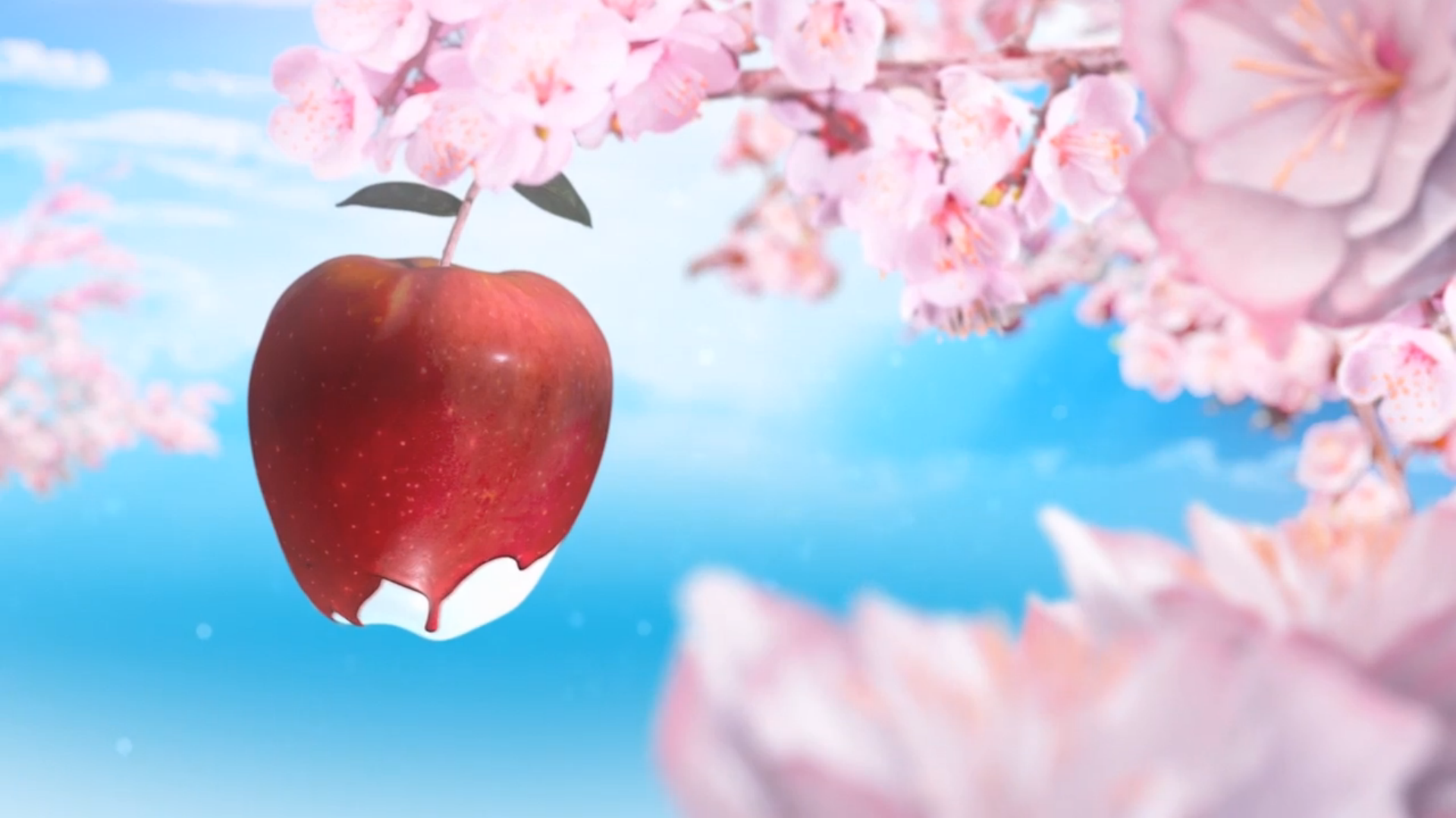 Red apple with white coating on a cherry blossom branch HD Wallpaper