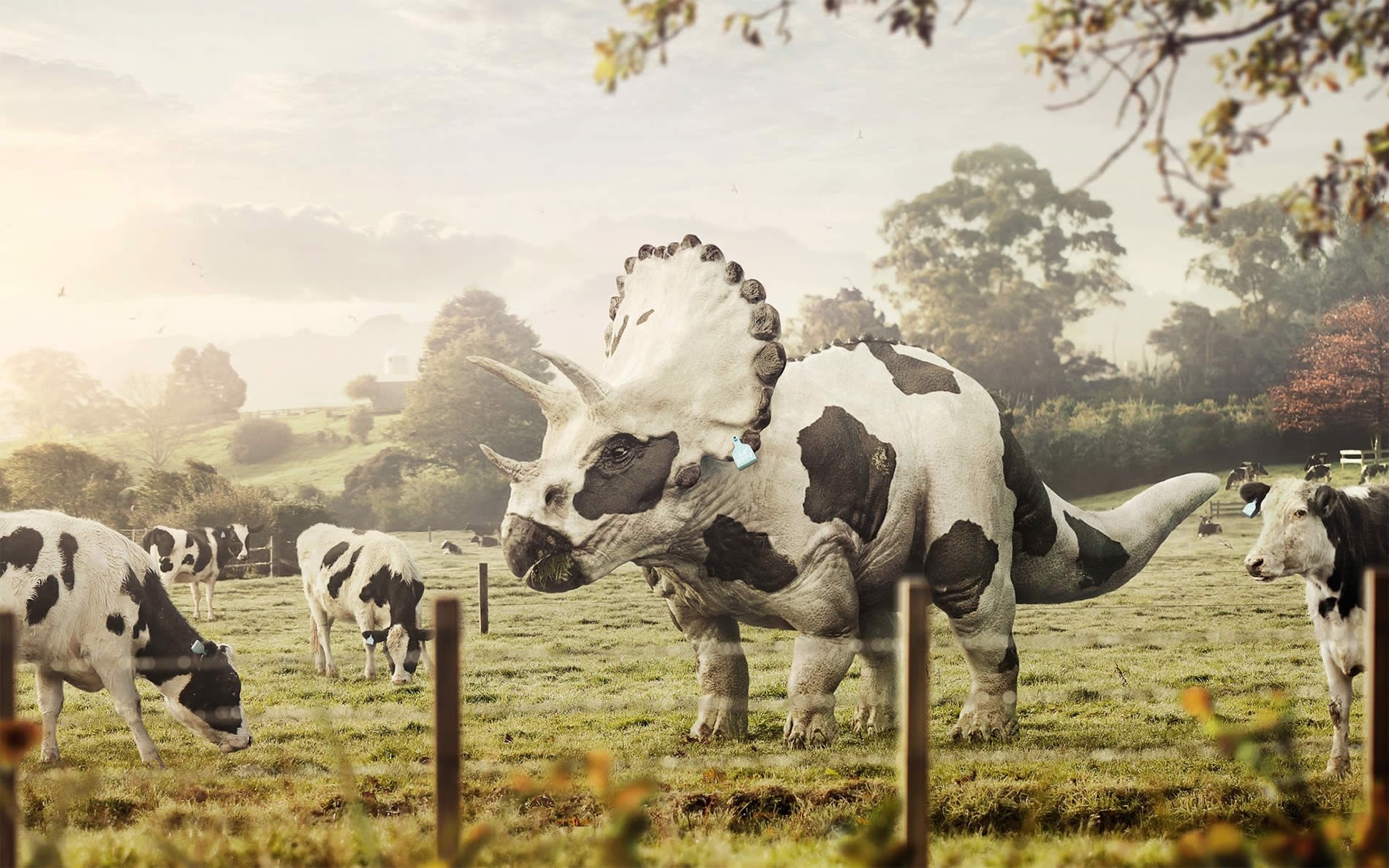 Triceratops cow hybrid grazing in a field with cows HD Wallpaper