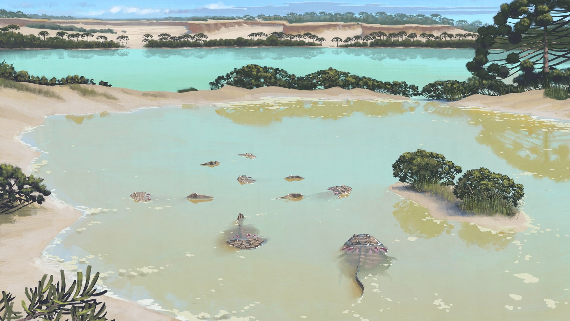 Prehistoric creatures in a shallow lagoon with sandy shores HD Wallpaper