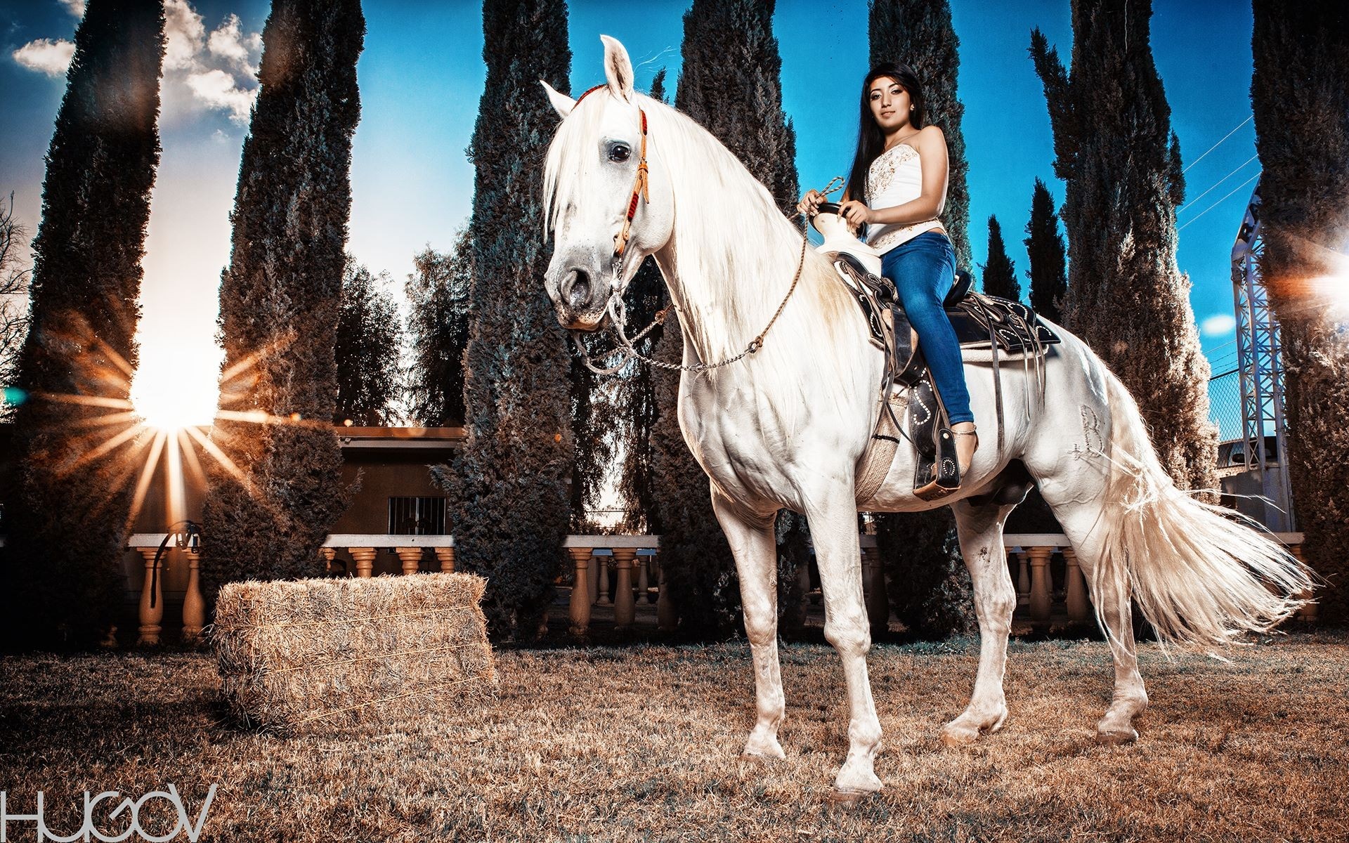 Young woman riding a white horse outdoors HD Wallpaper