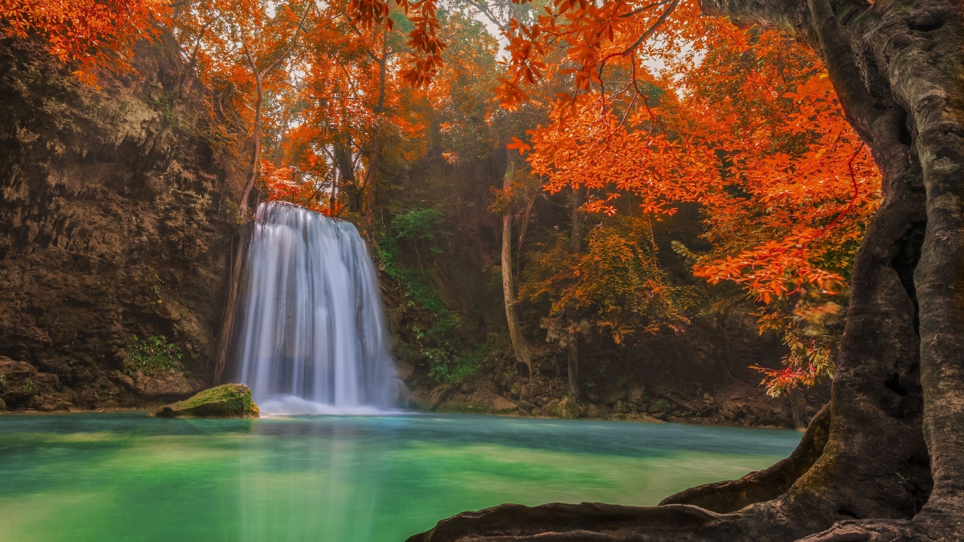 Waterfall in an autumn forest HD Wallpaper