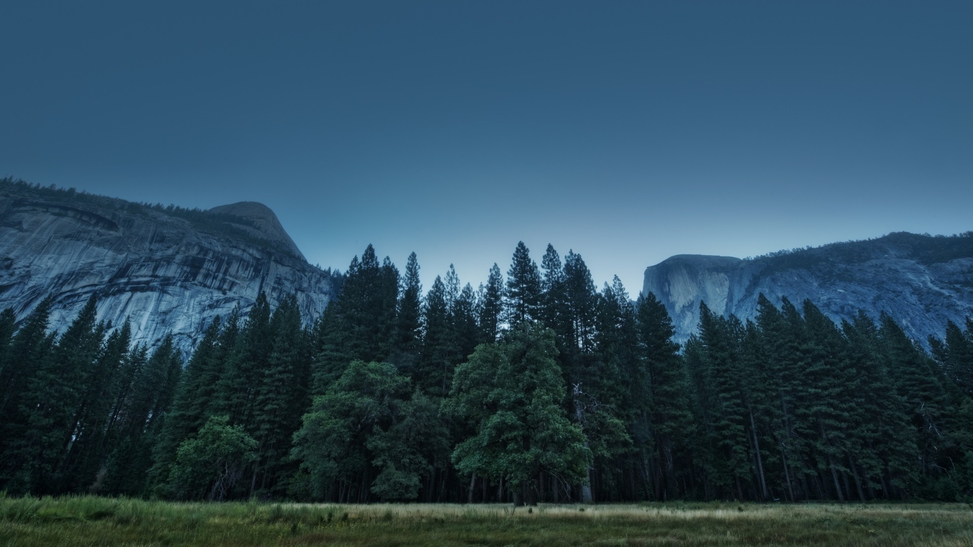 Forest and mountains at dusk HD Wallpaper