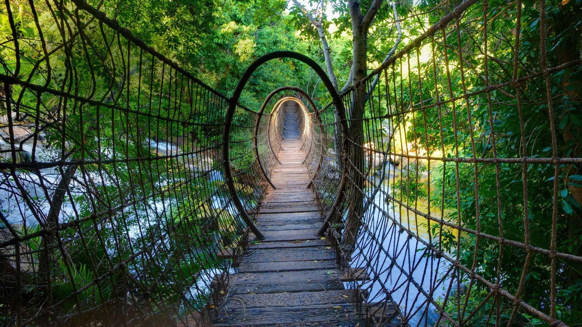 Suspension bridge over a river in a forest HD Wallpaper