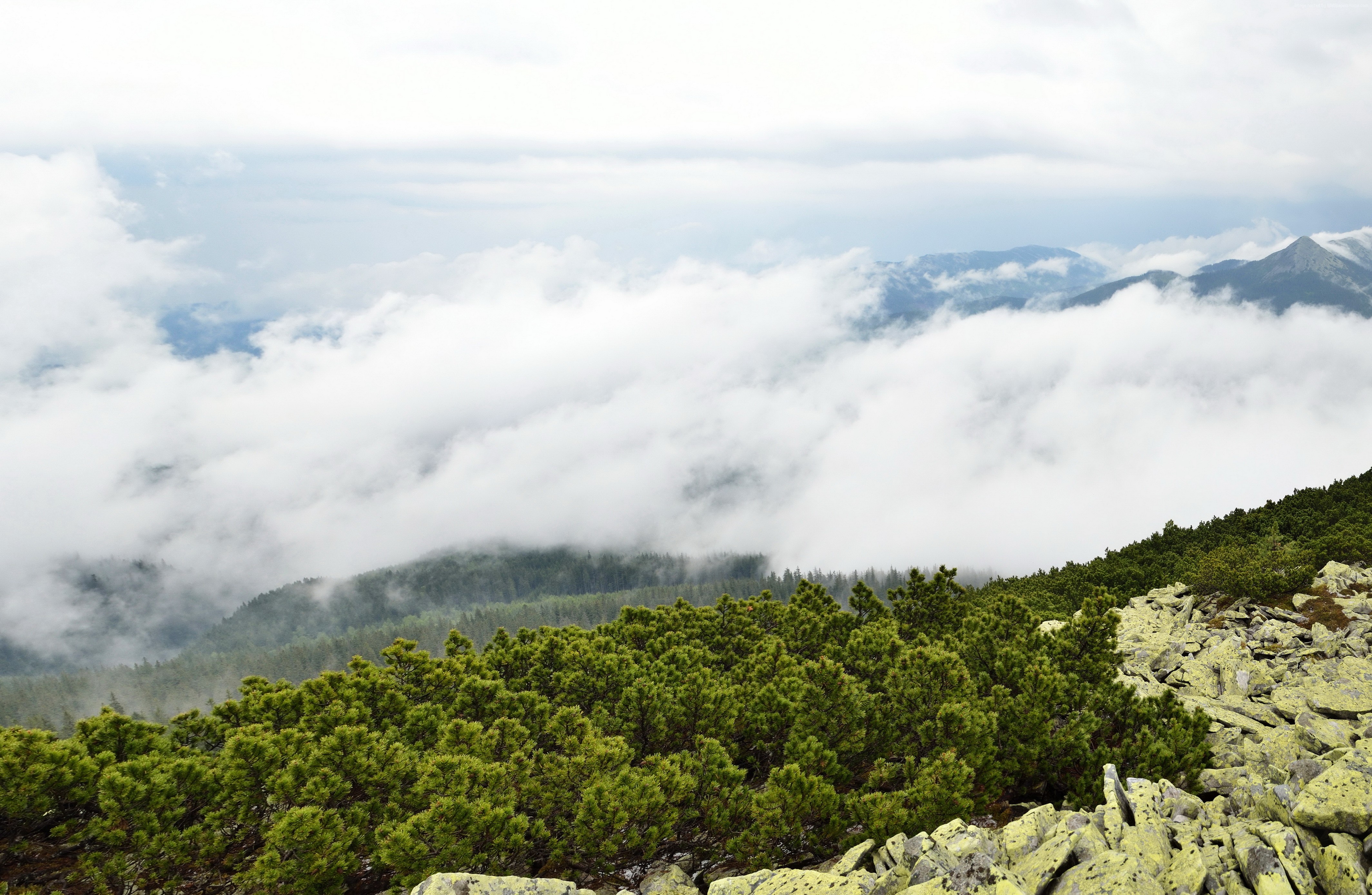 Mountains and clouds over Transcarpathia, Ukraine HD Wallpaper