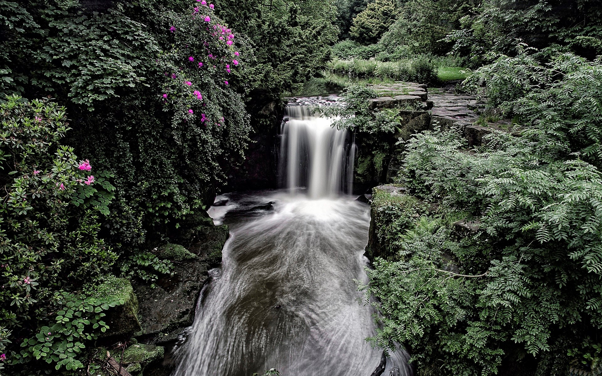 Waterfall flowing through a dense green forest with pink flowers HD Wallpaper